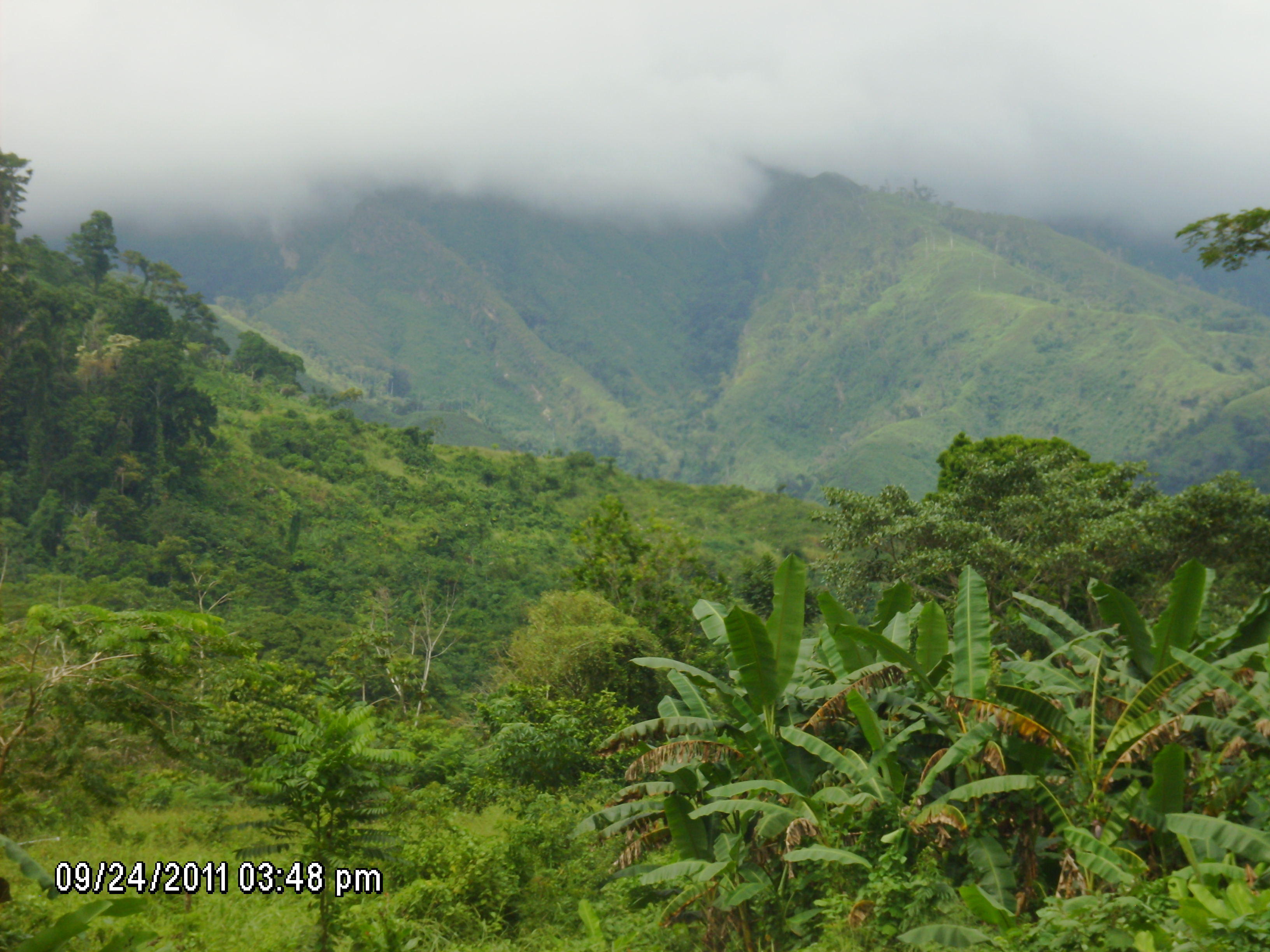 Tocuco 091.jpg