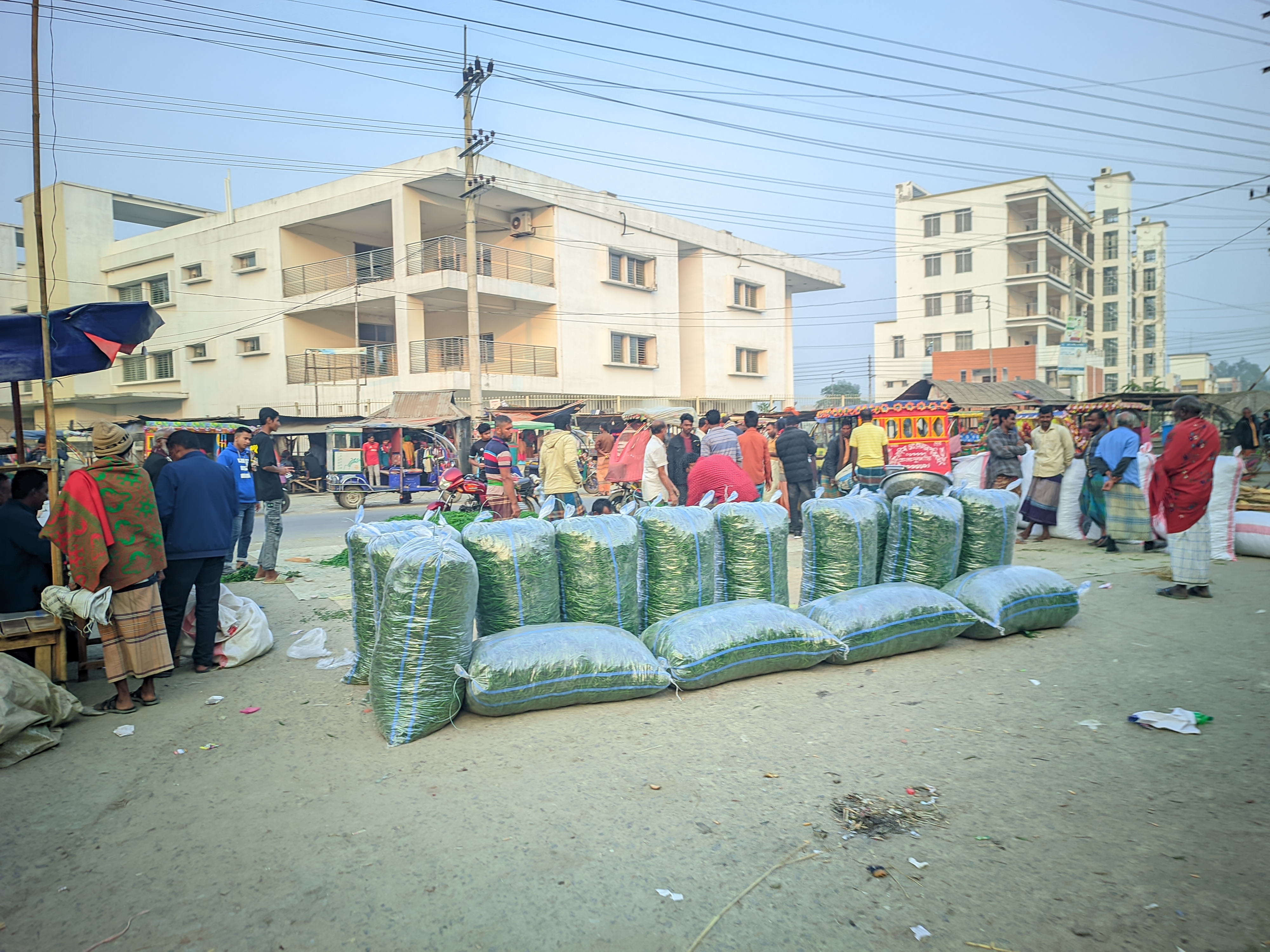 Raju20251221_161838_Vivid Human Portrait By Light Editz (2).jpg