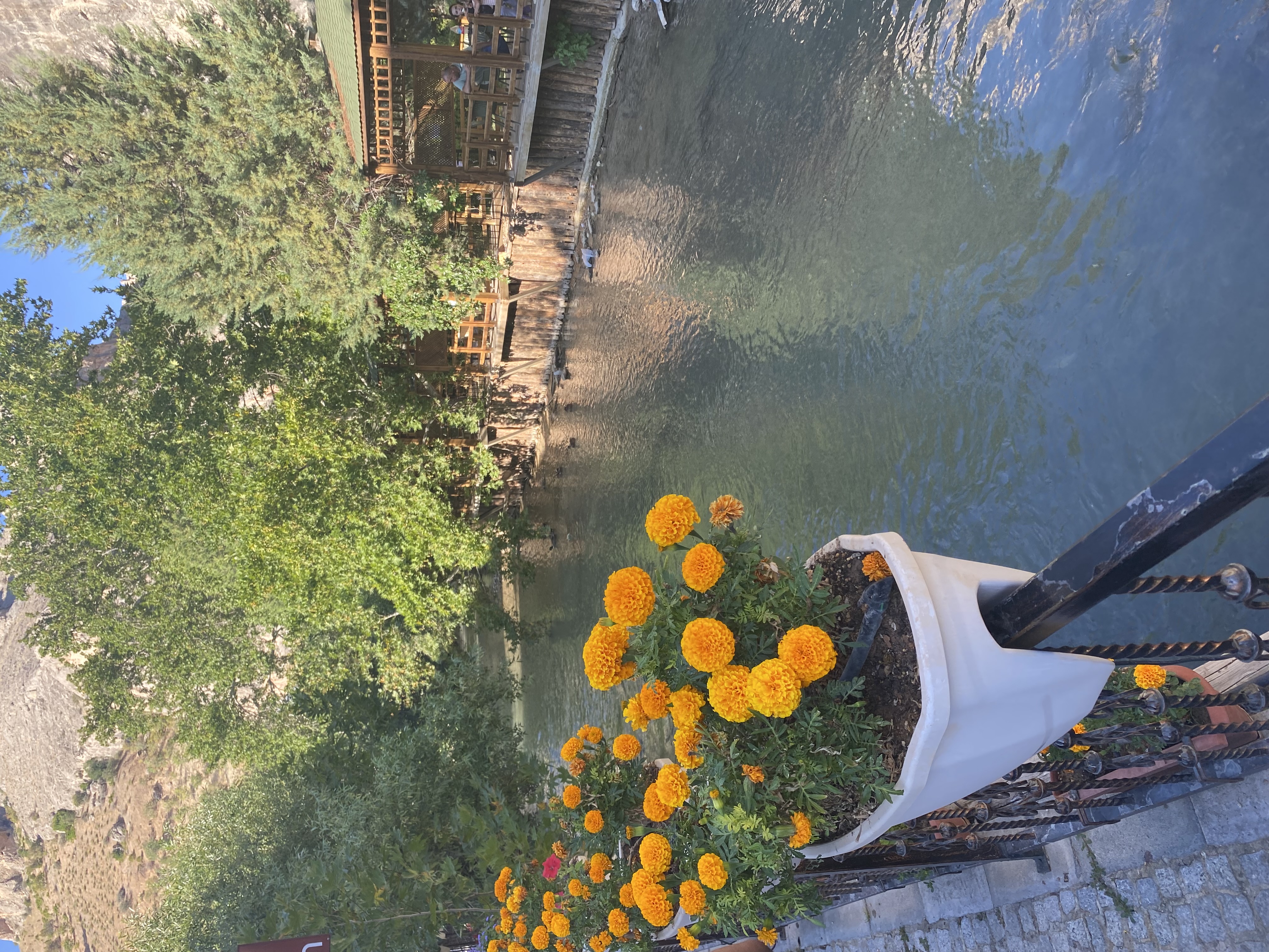IMG_0530.jpeg