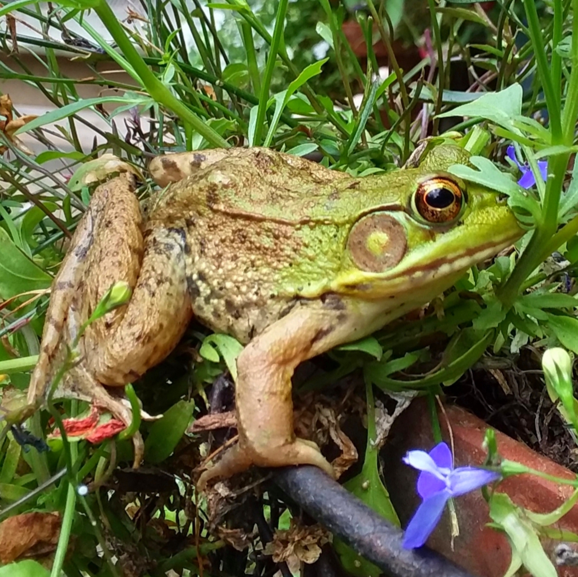 20190912_090335.jpg