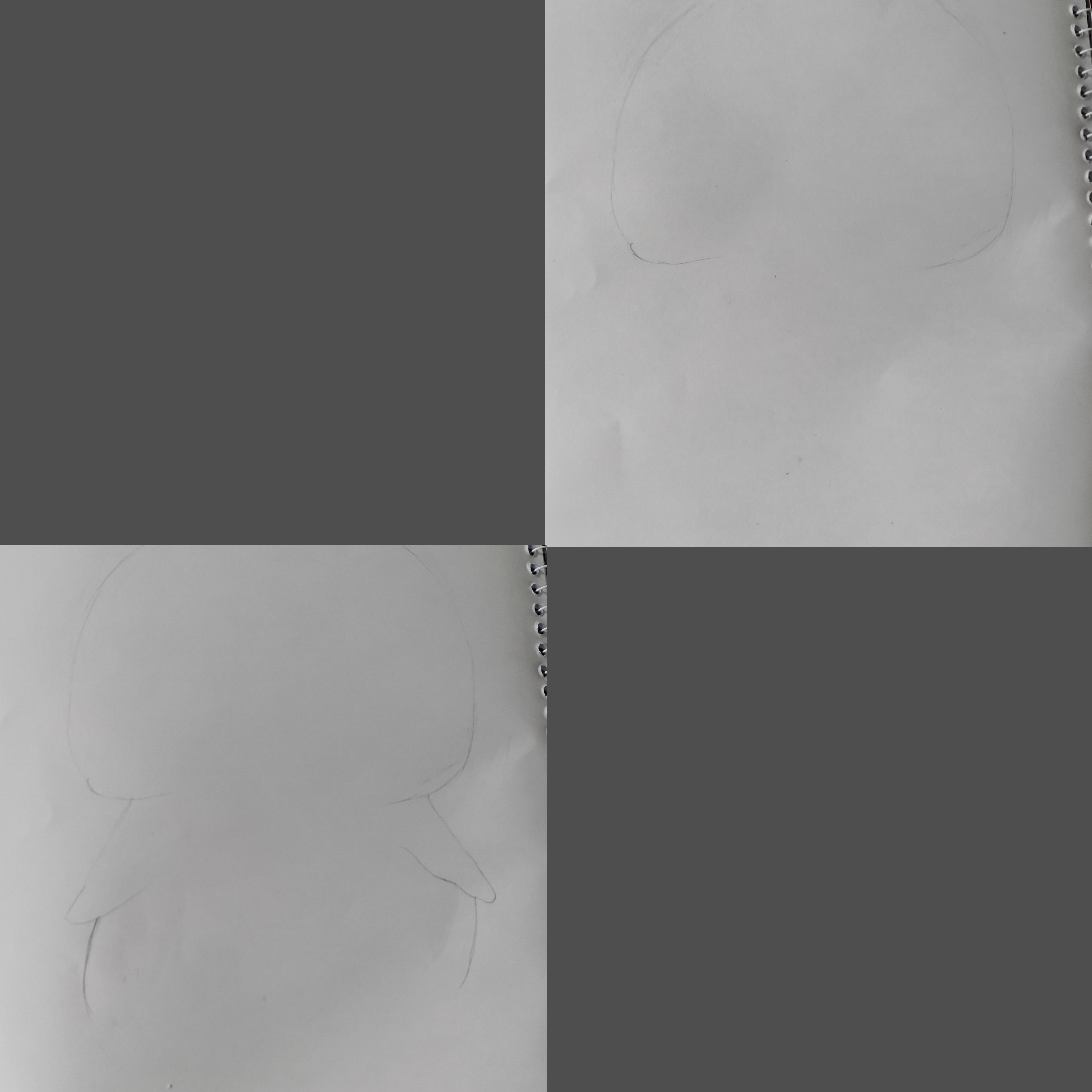 47802.jpg