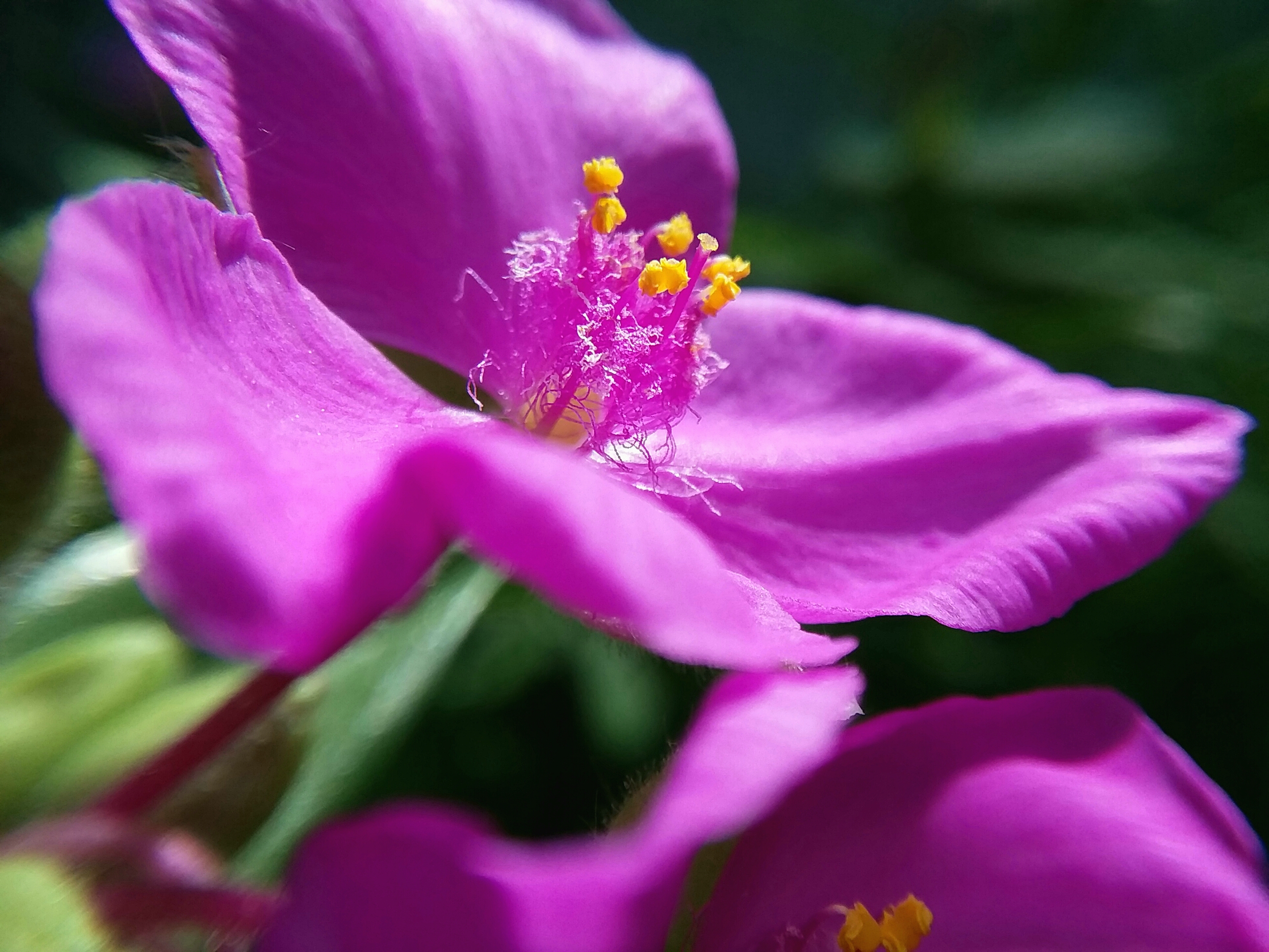 20190625_200001.jpg