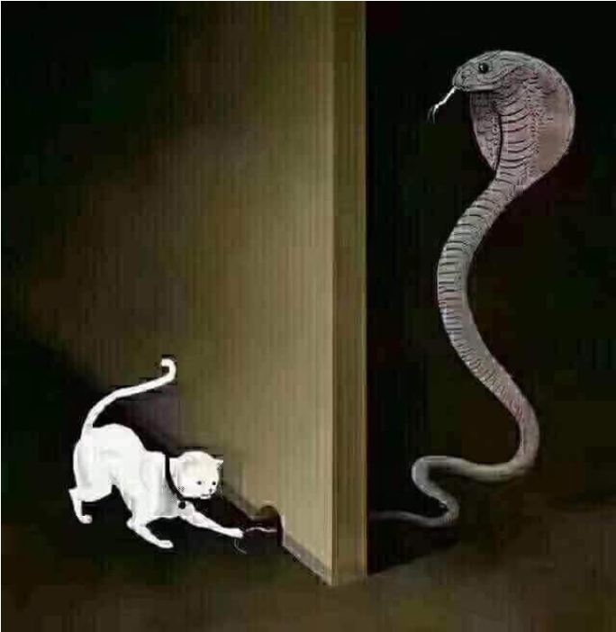 mgthitsar
