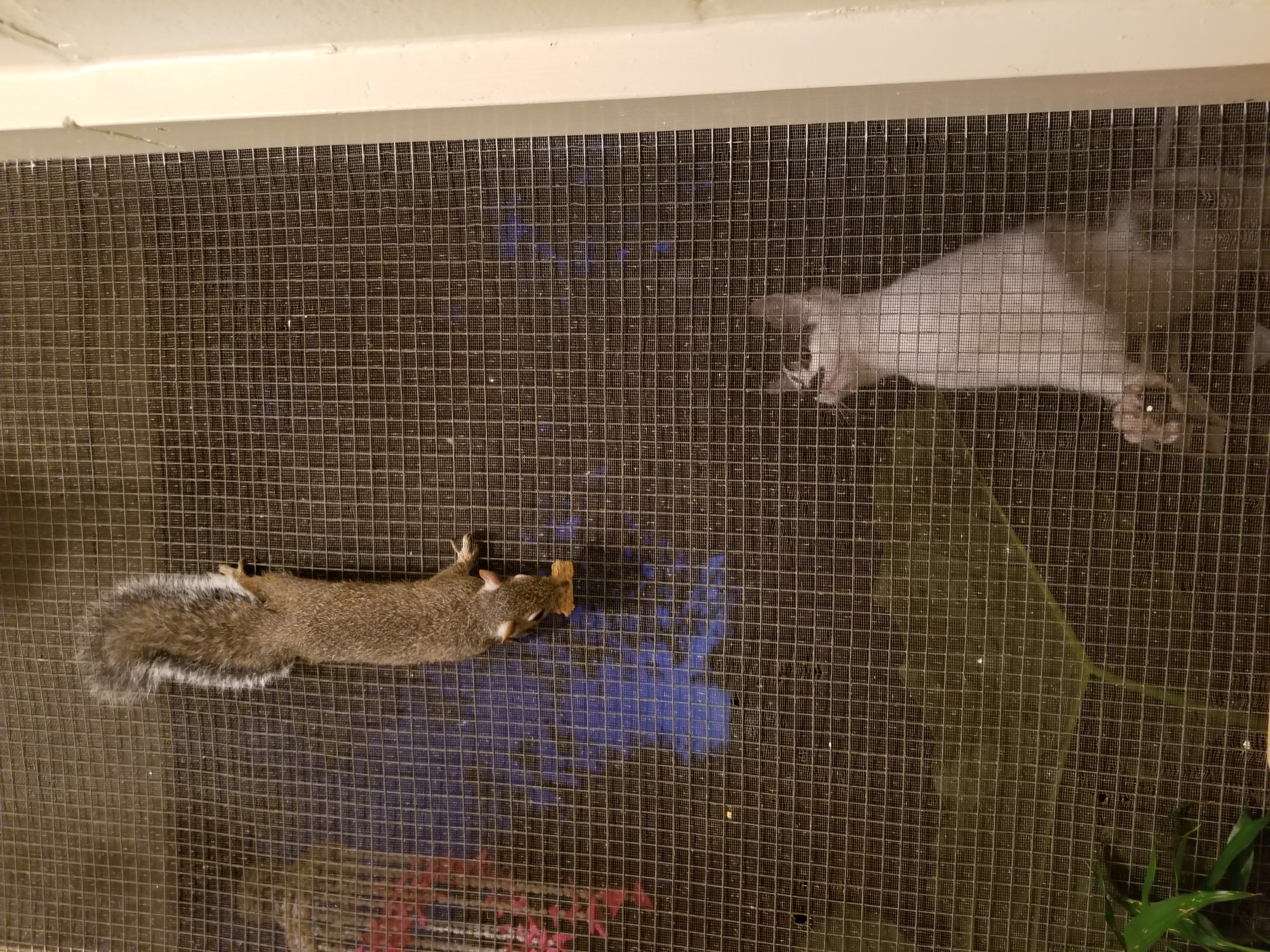 20181008_064843.jpg