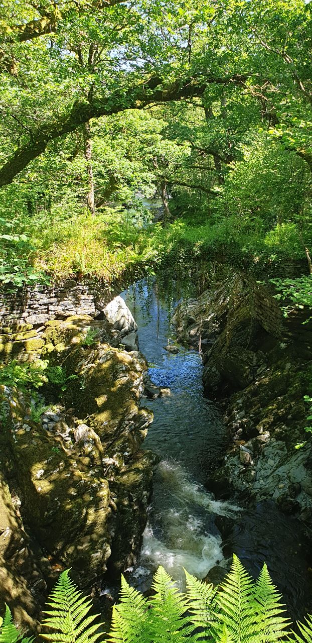 IMAGE 2019-07-04 09:27:07.jpg