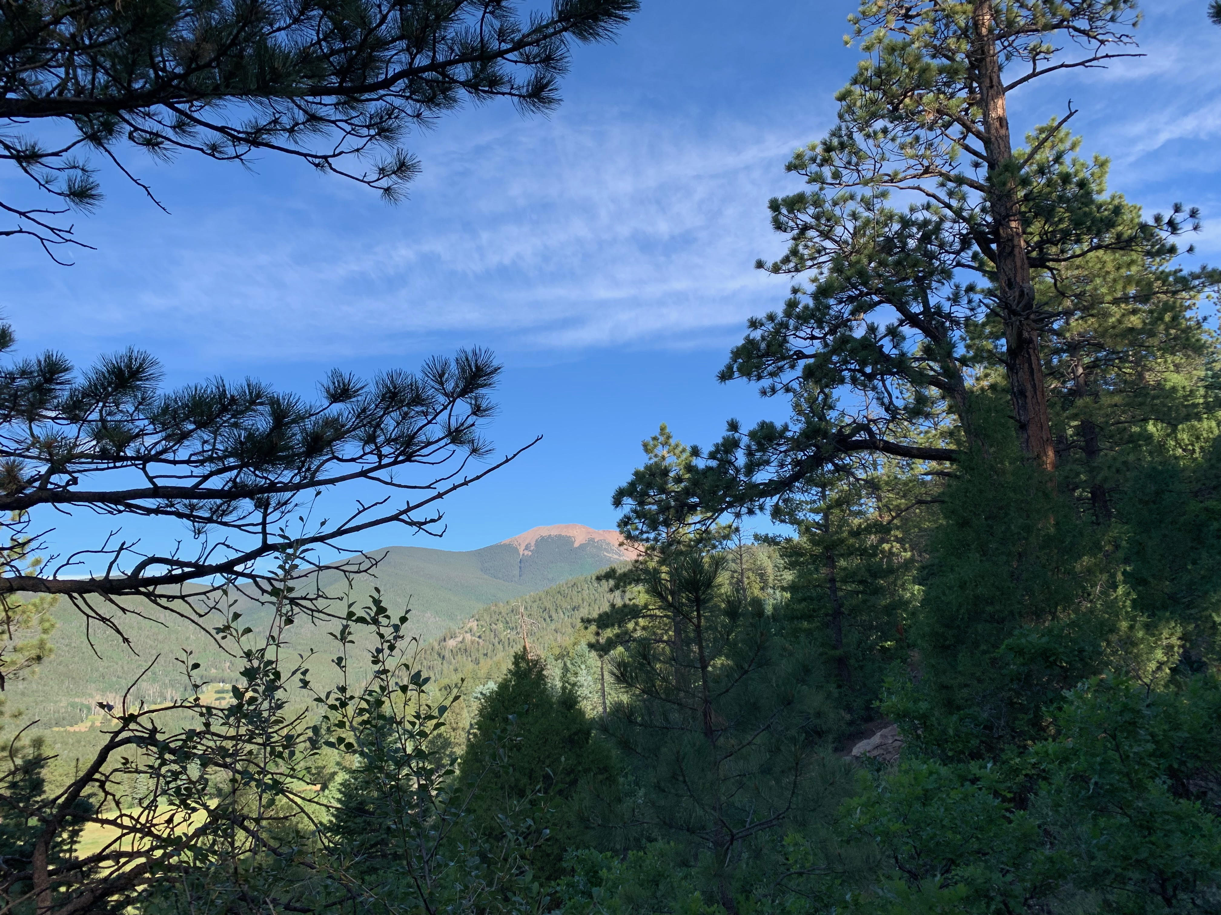 baldy 2.jpg