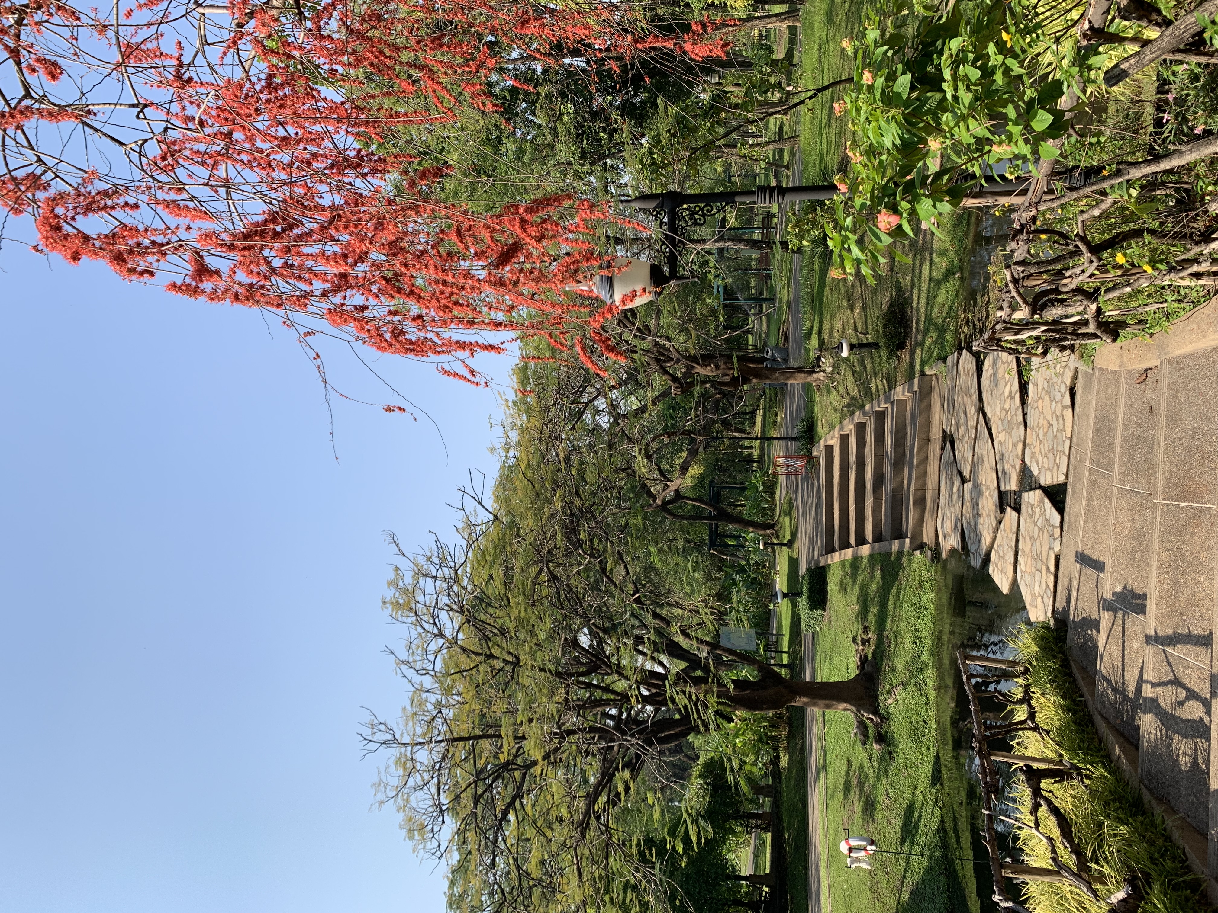 Queen Sirikit Park15.jpg