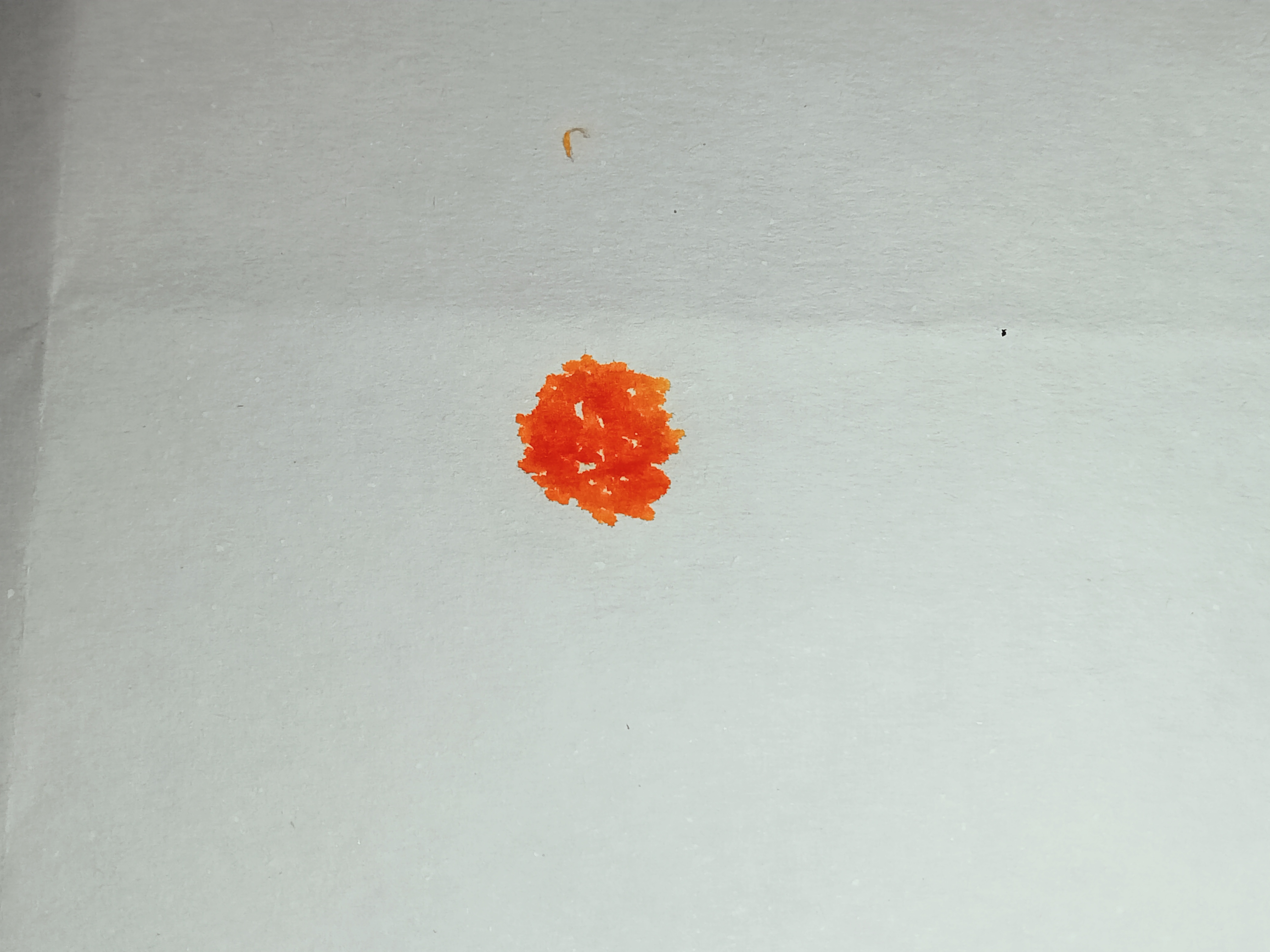 IMG20241103195411.jpg