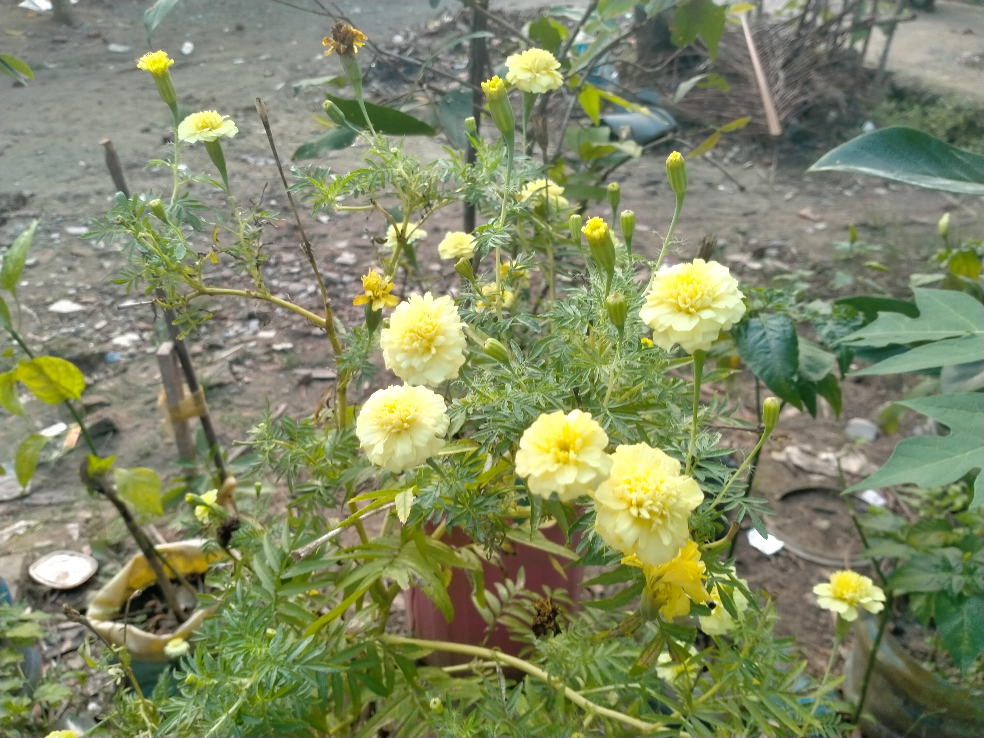 IMG20250327180657.jpg