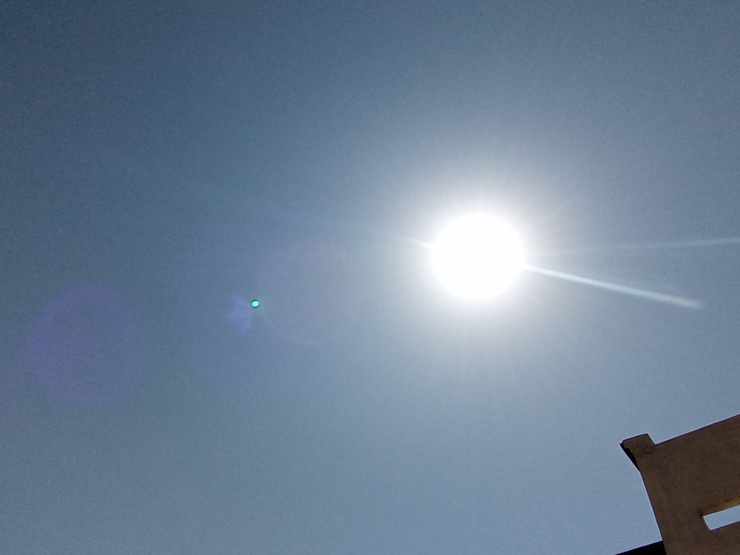 20200520_092711.jpg