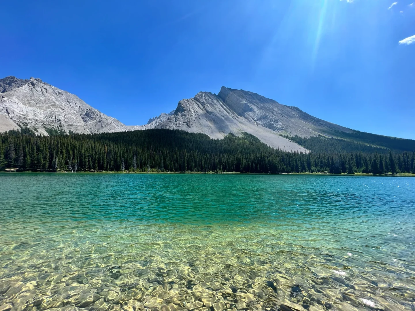 105.webp