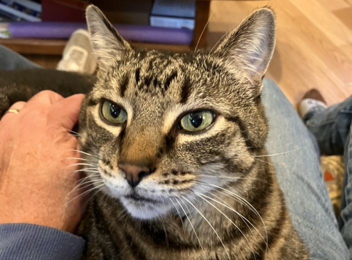 "I'M HANGRY...DAD!"😻...................NORTHWEST ADVENTURES! 😀