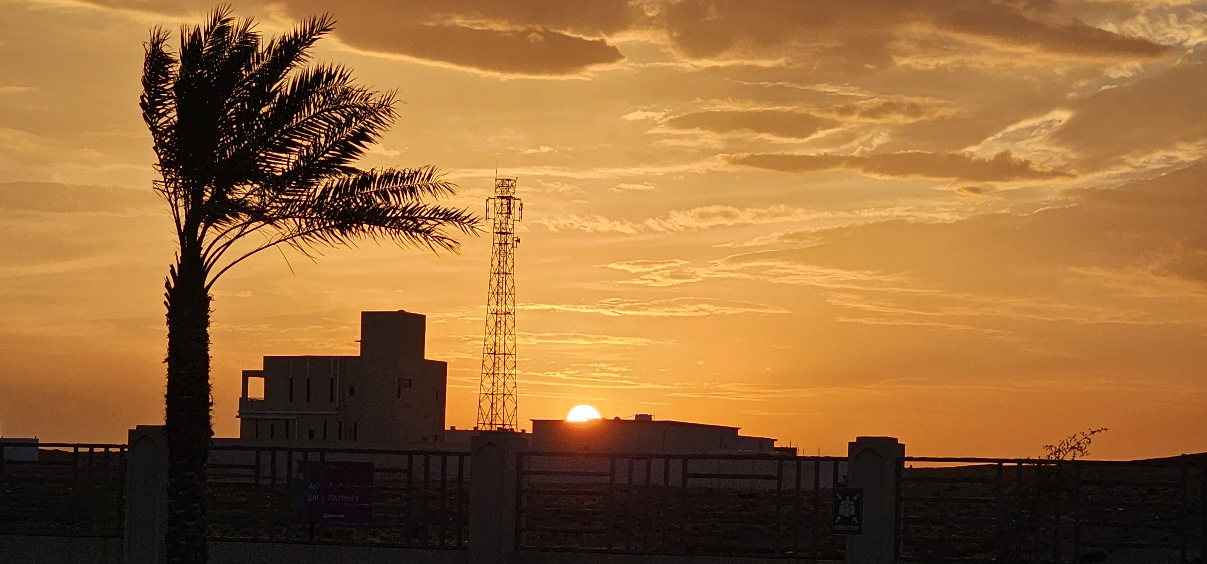 20230421_181129.jpg