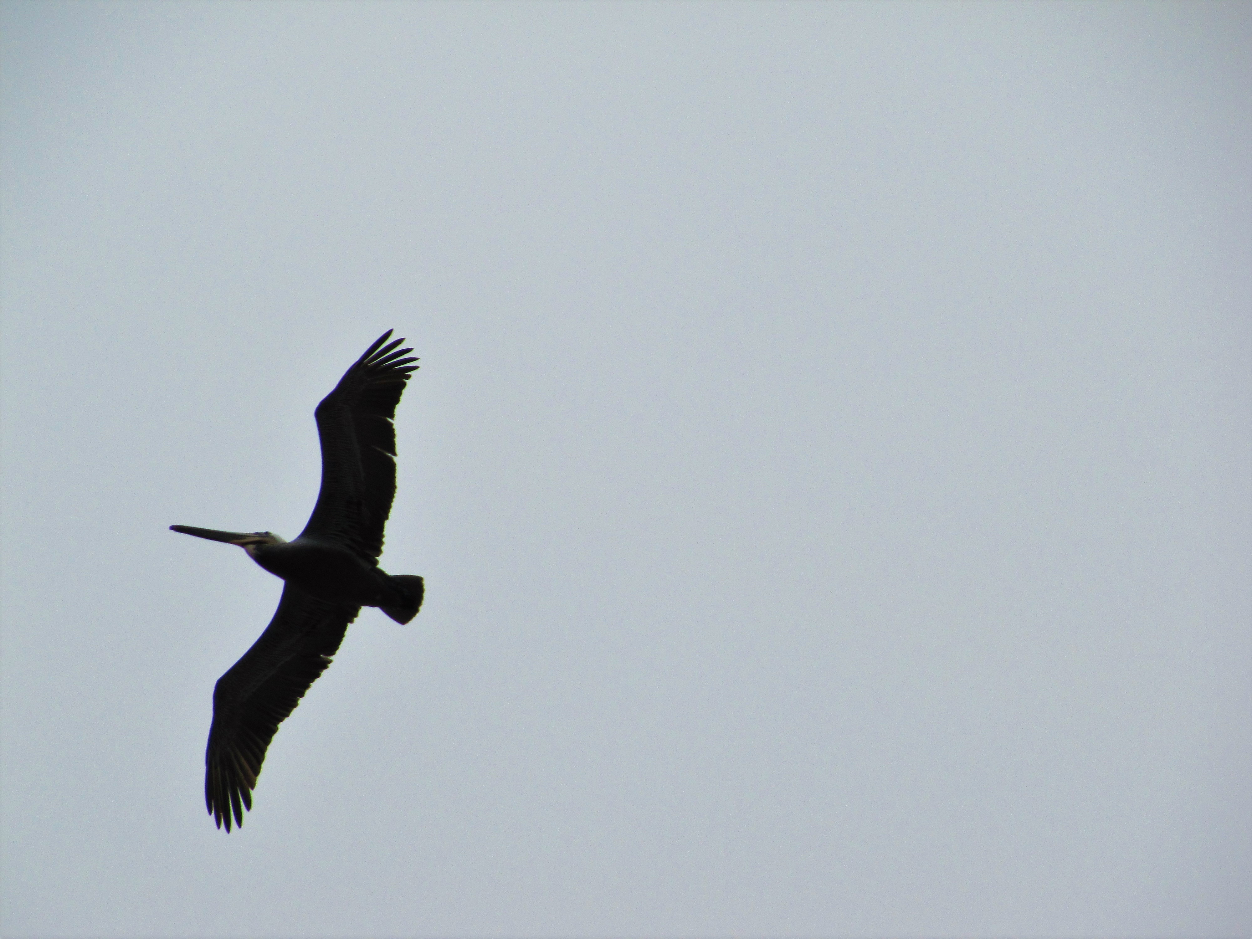 IMG_3752.JPG