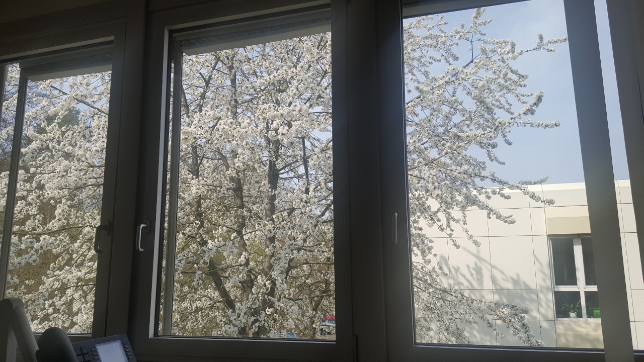 KakaoTalk_20190405_182848517.jpg