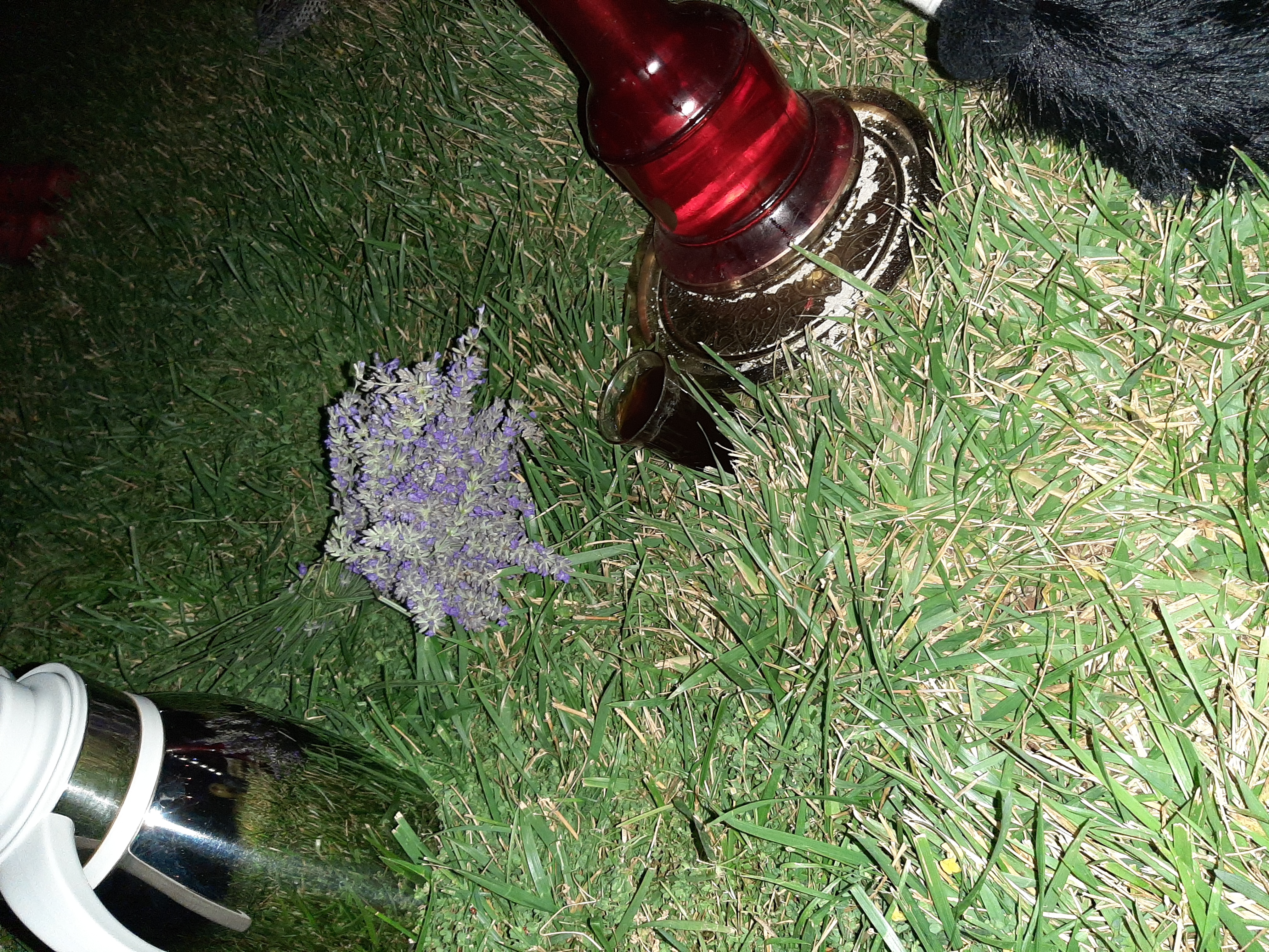 20220625_205102.jpg