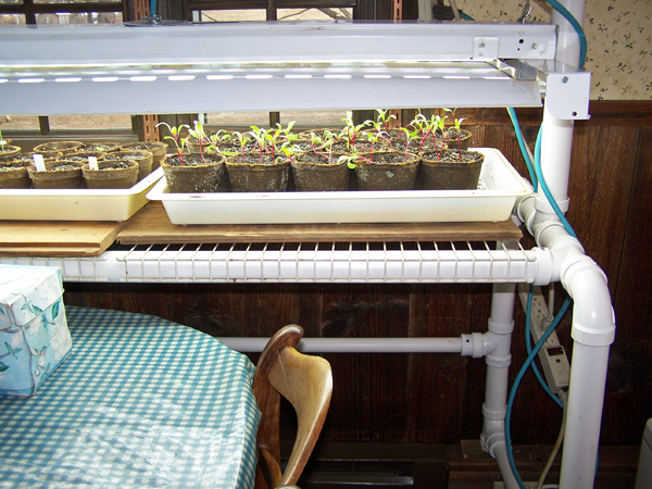 New light stand6 crop March 2018.jpg
