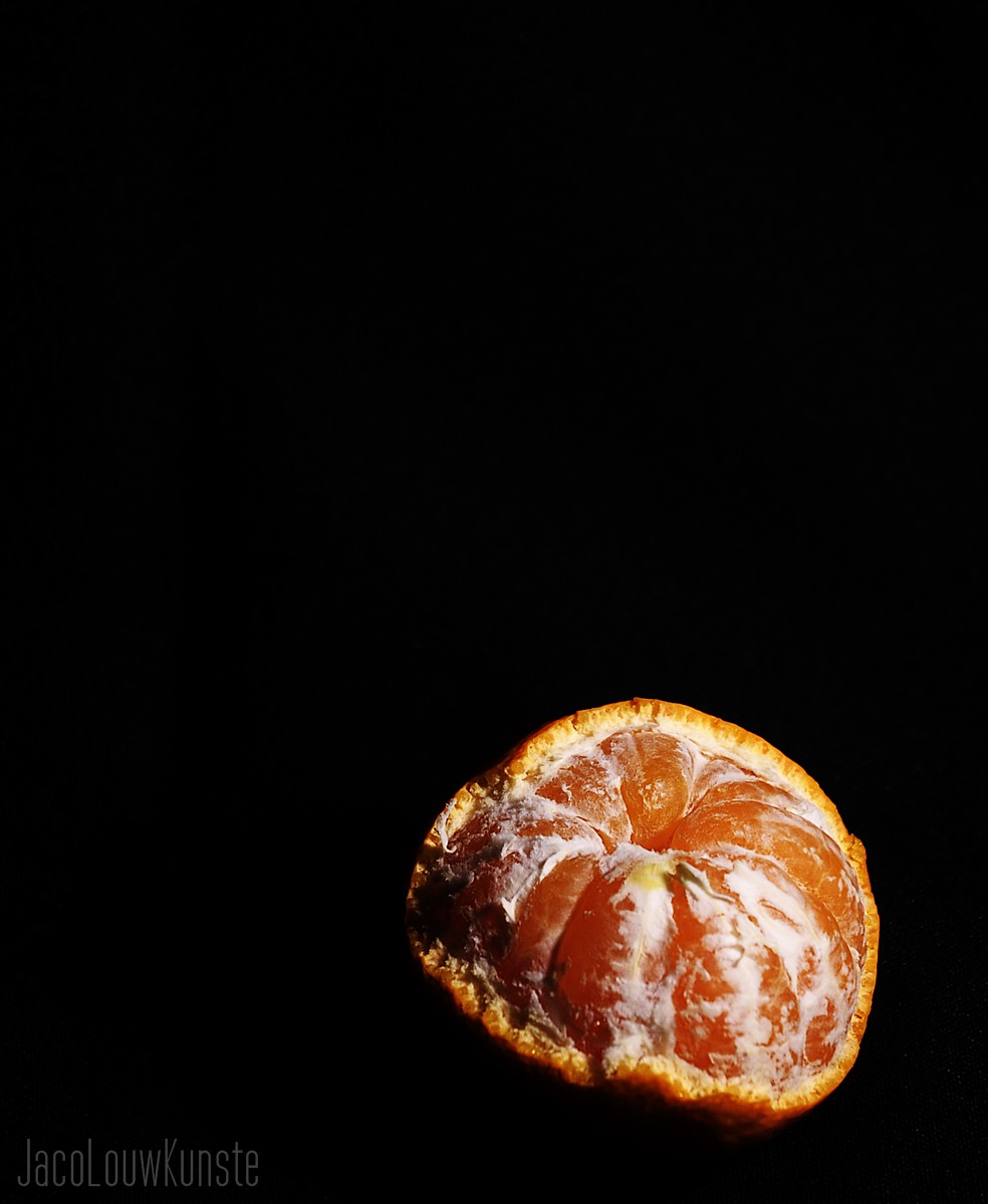 _DSC7353.JPG