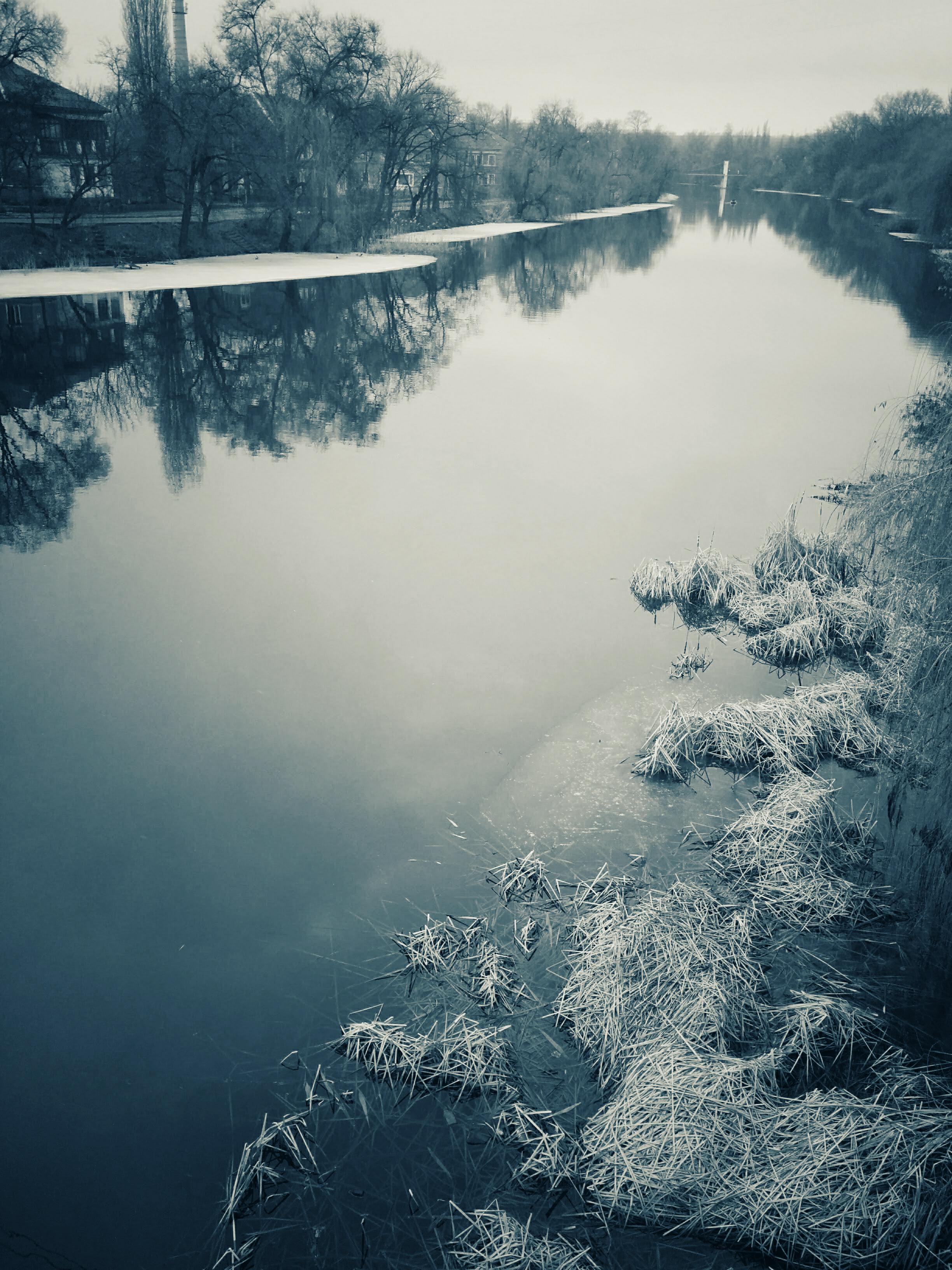 IMG_20190210_111319-01.jpeg