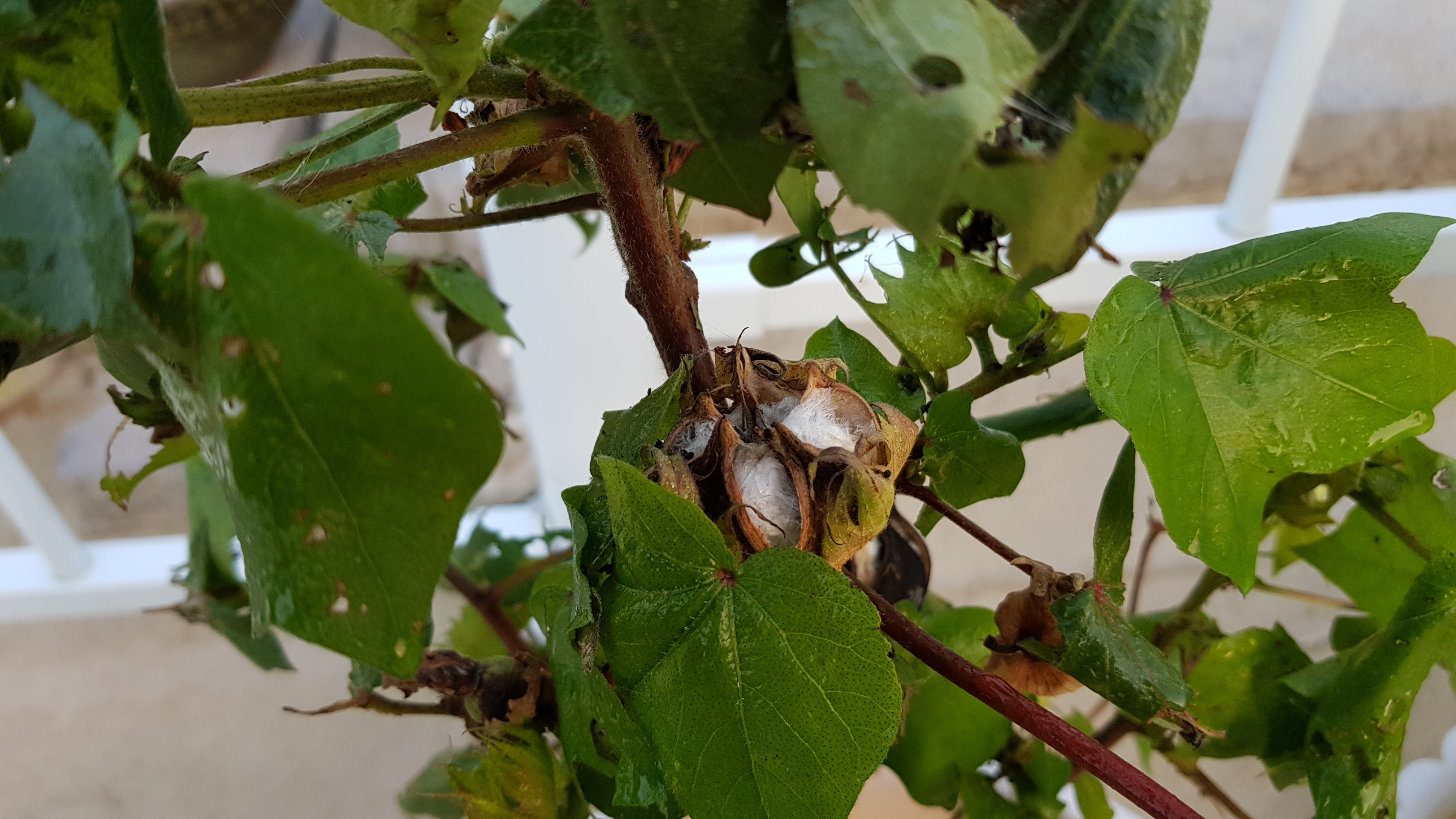 20180901_062607.jpg