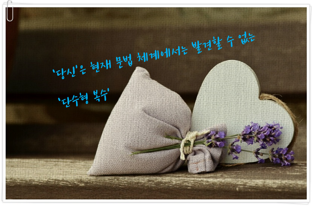 베스트 문장 14 (3).png