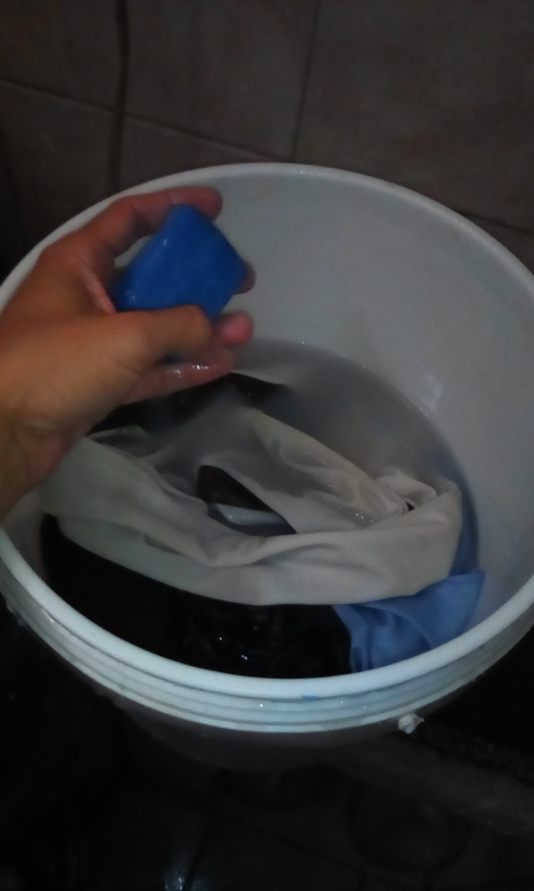 IMG_20201113_160154.jpg