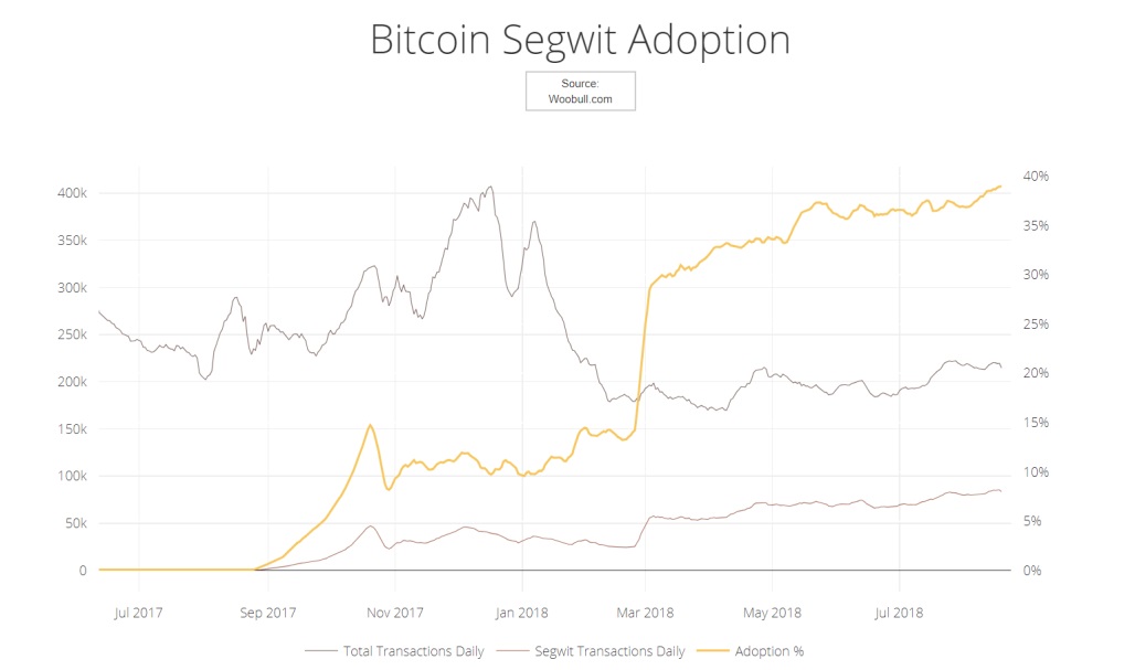bitcoin-da-duoc-dieu-chinh-quy-mo-nhung-no-da-san-sang-cho-bong-bong-tiep-theo-chua (3).jpg