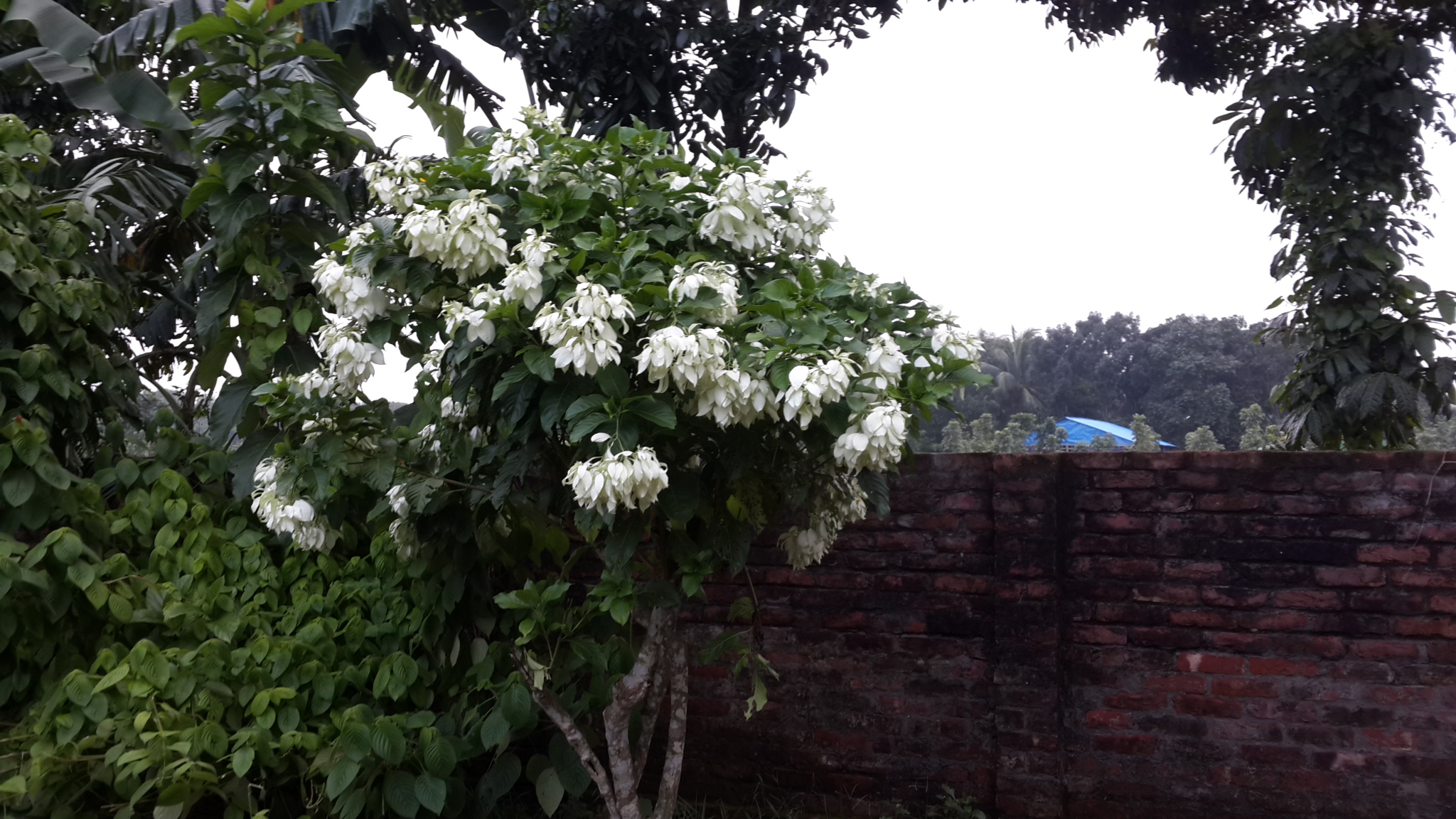 20180728_181025.jpg