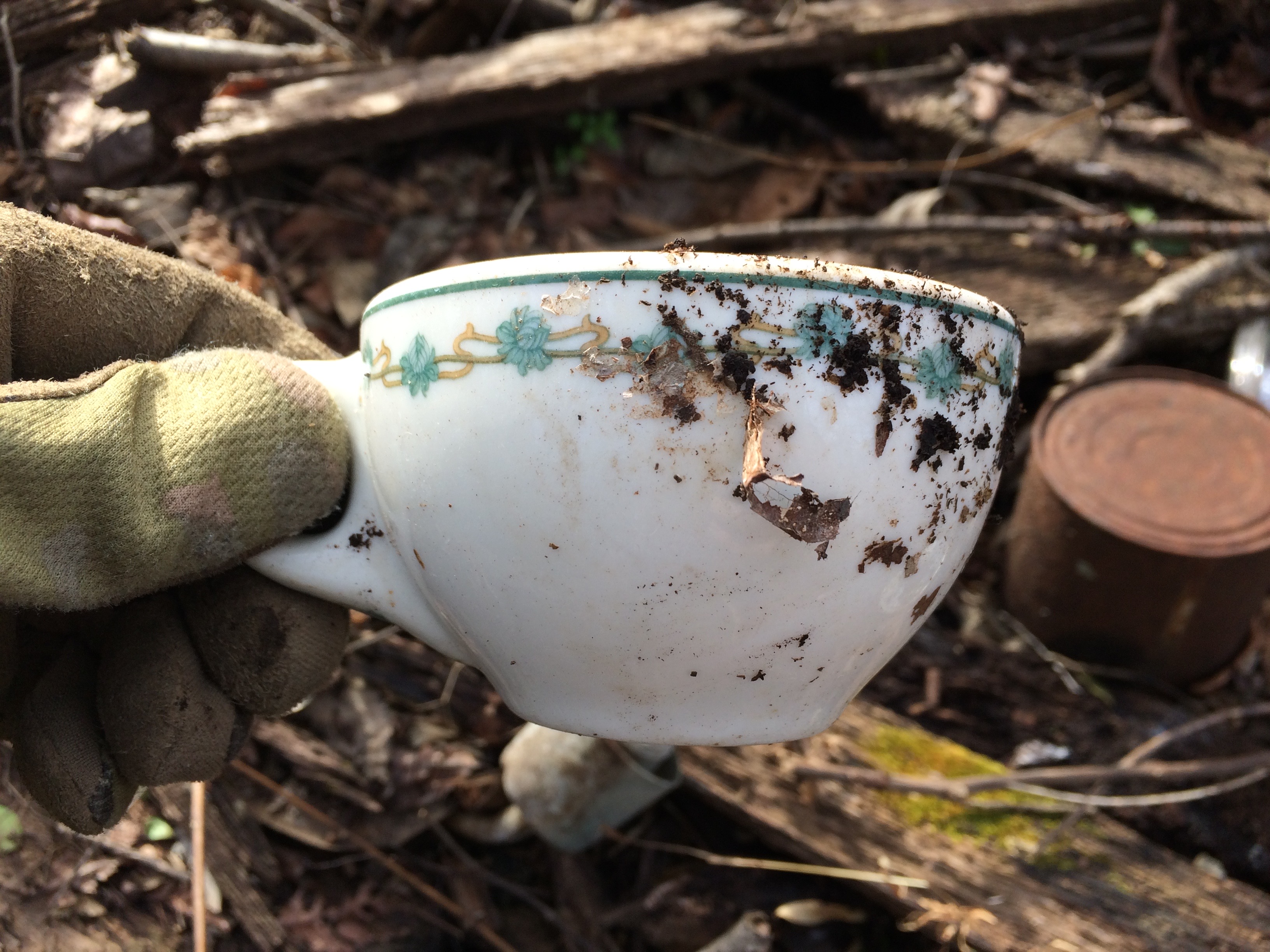 Teacup .jpg
