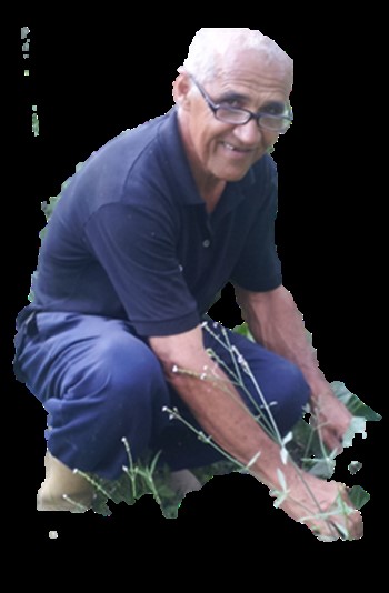 tiotano