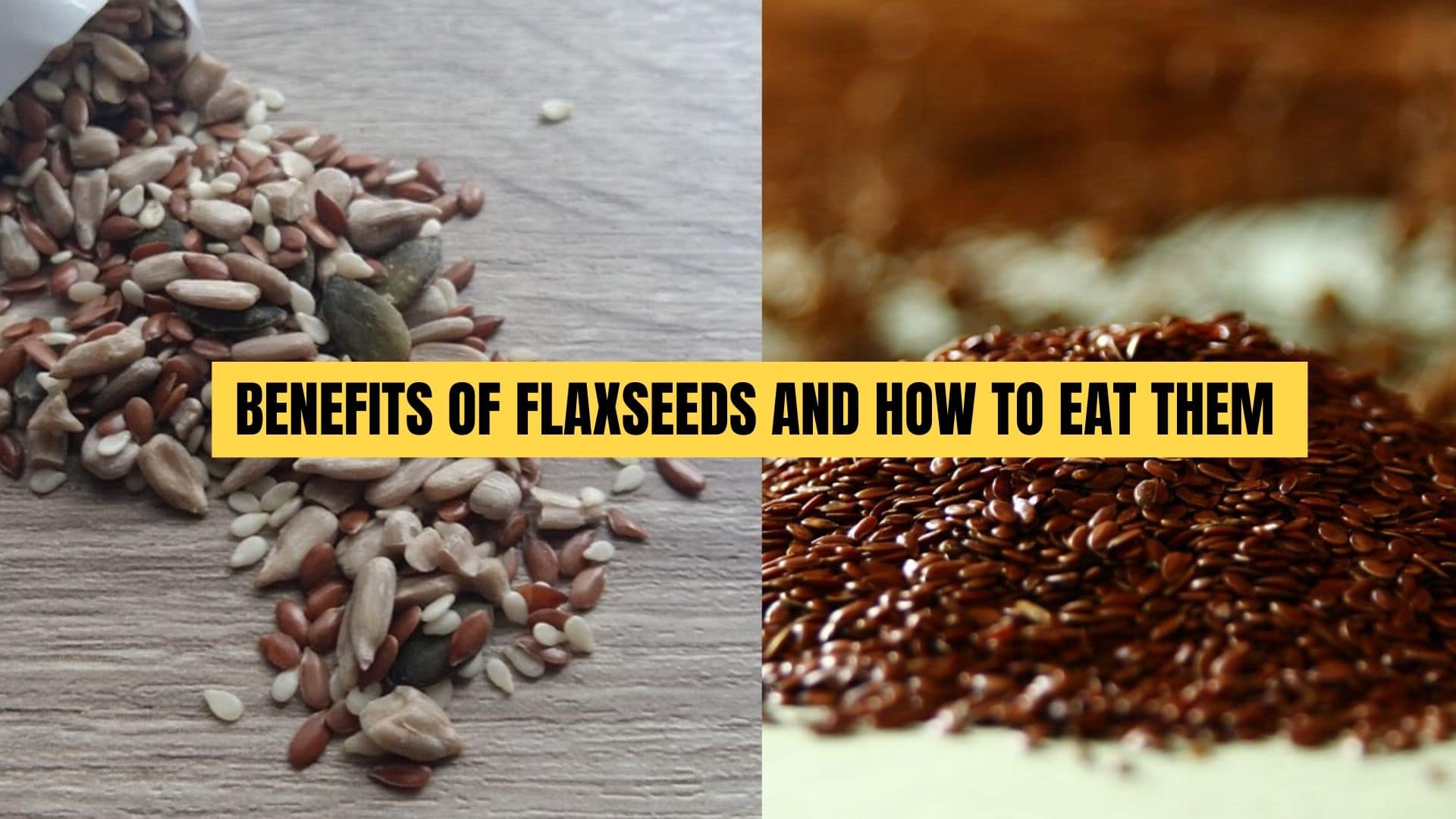 seeds 6.jpg