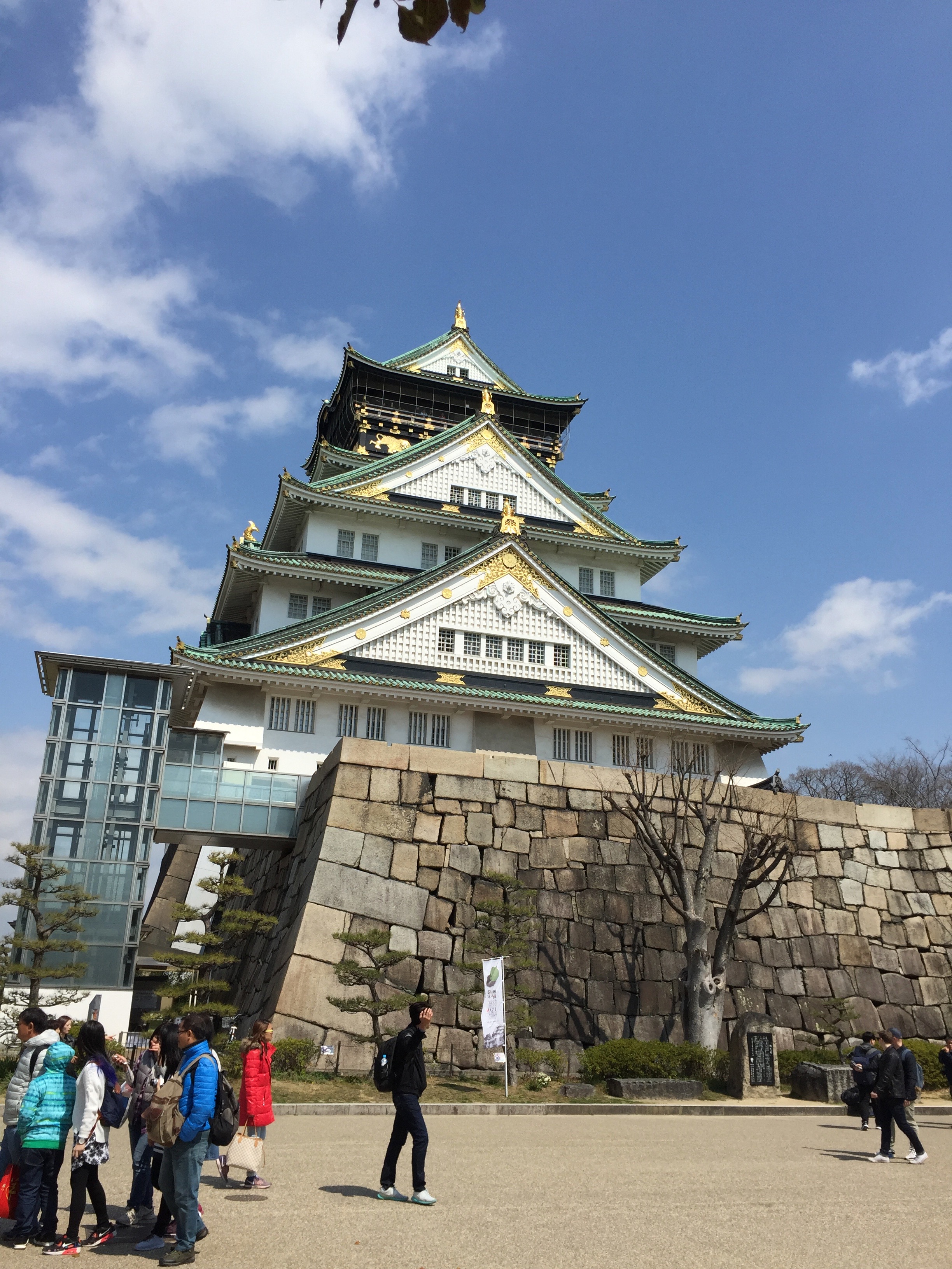 IMG_7753.jpeg