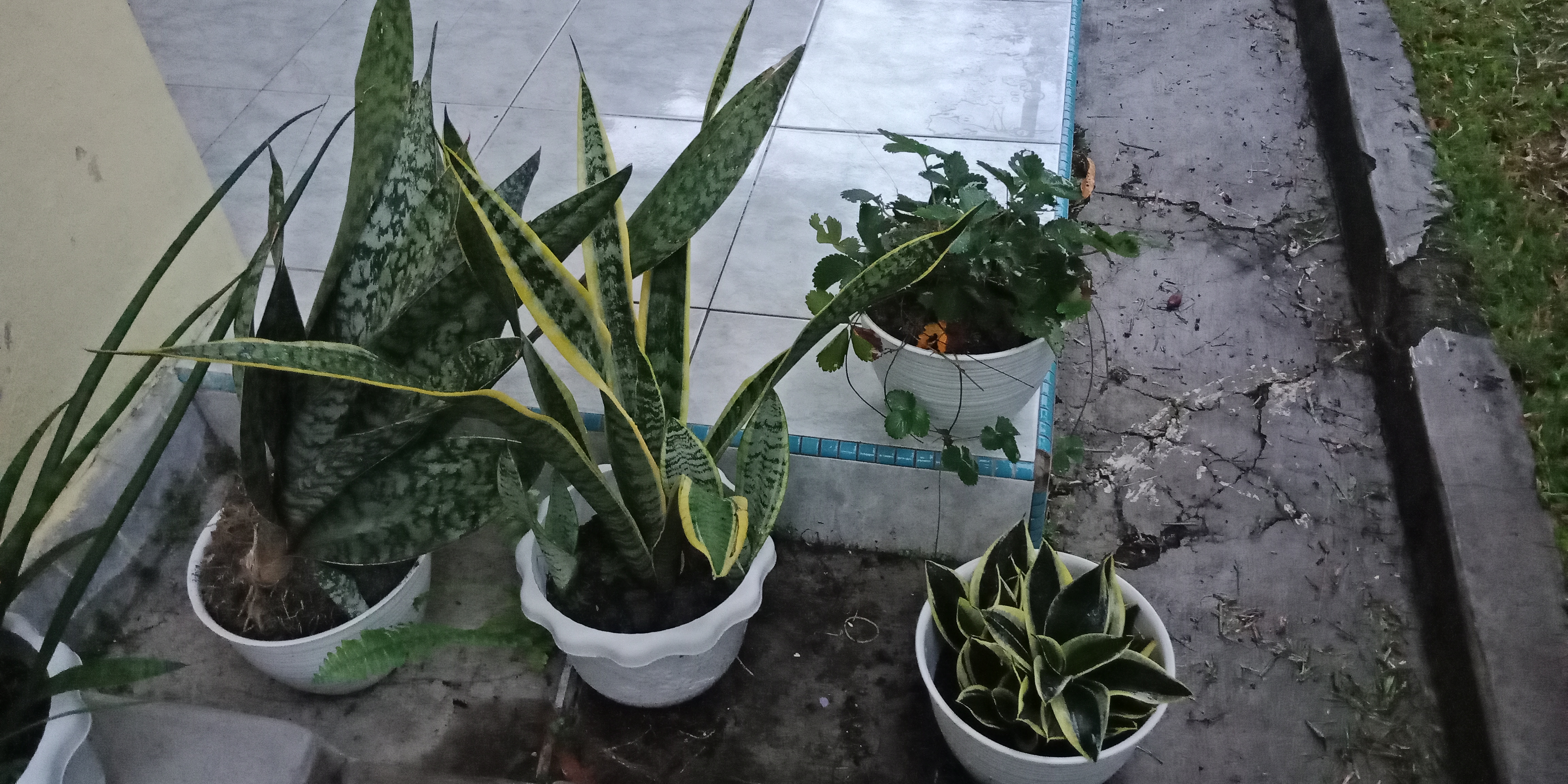 IMG20210426182809.jpg