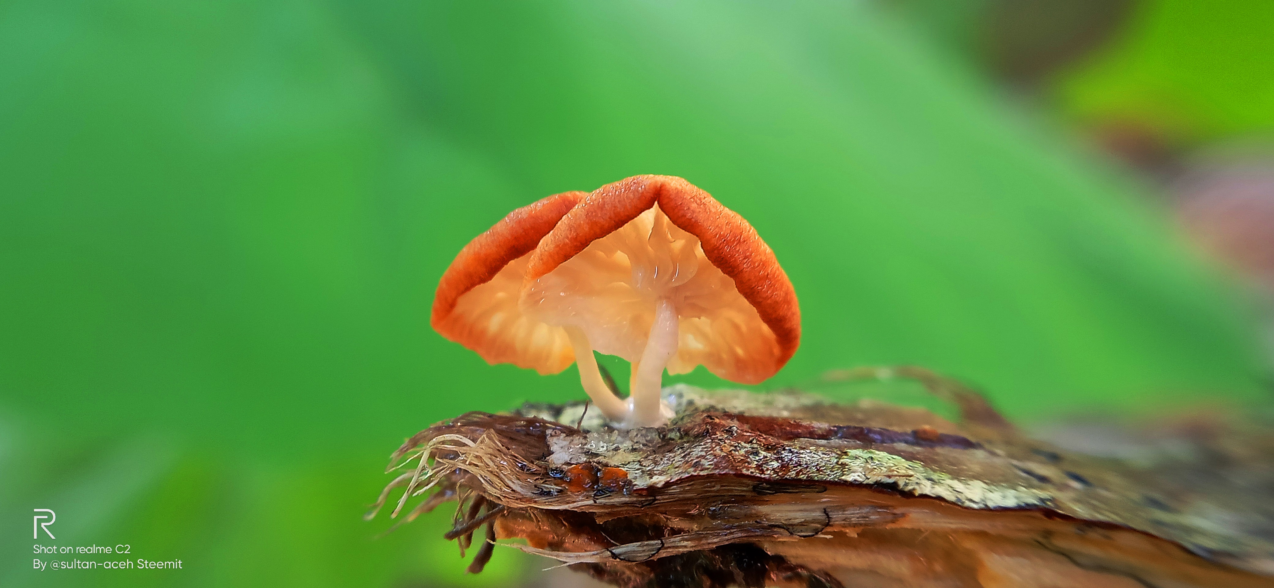 IMG20220428145035.jpg
