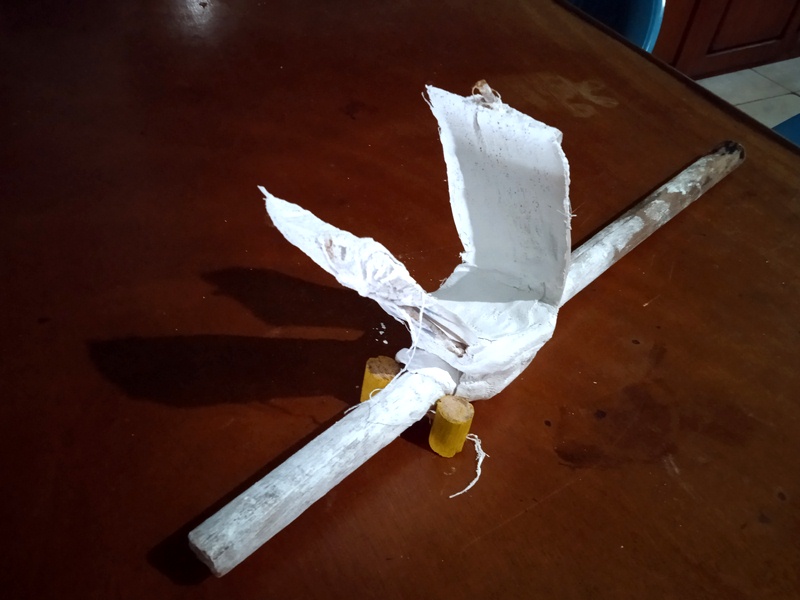 IMG_20210327_125534 (Comprimida).jpg