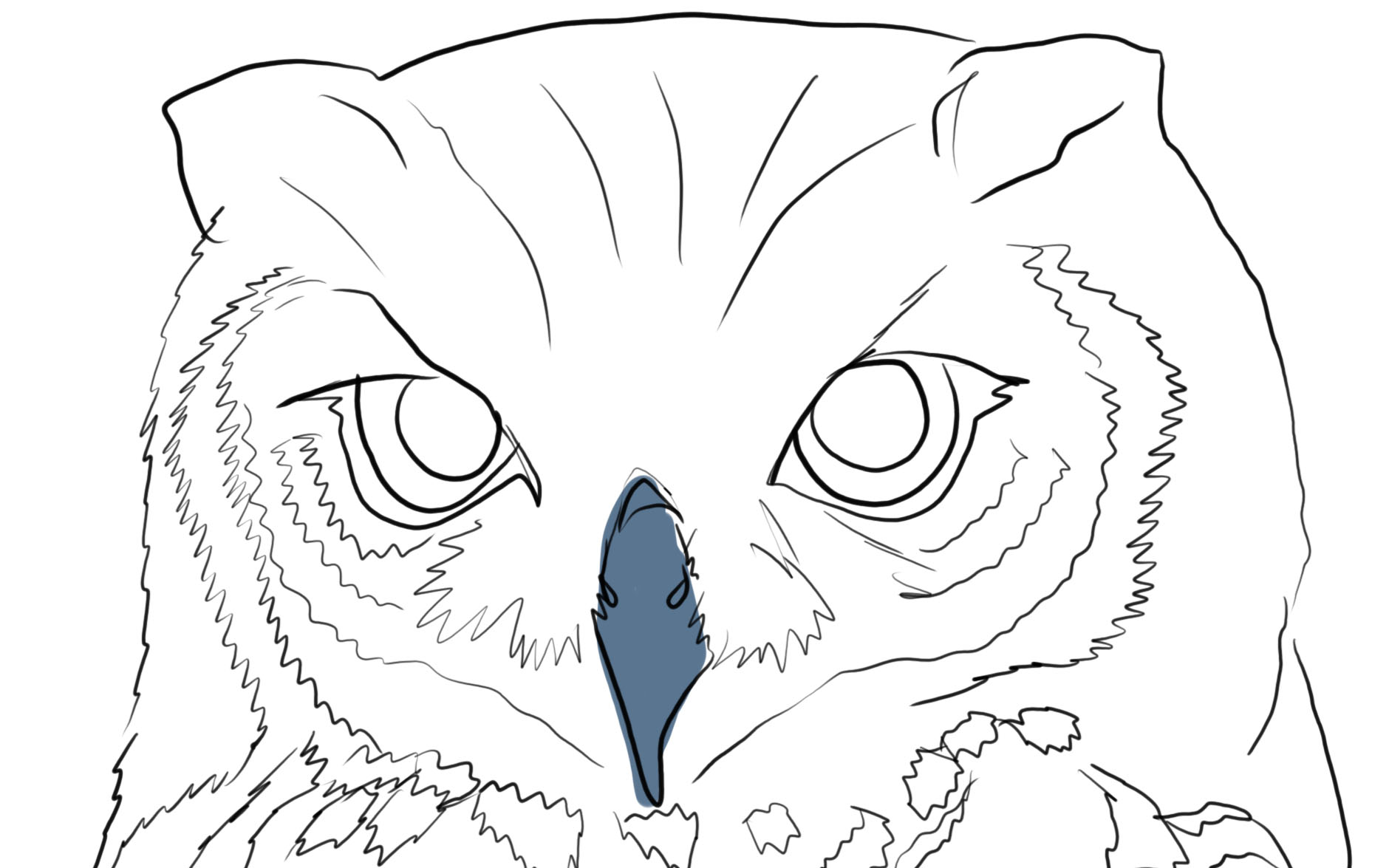 owl face(347).jpg