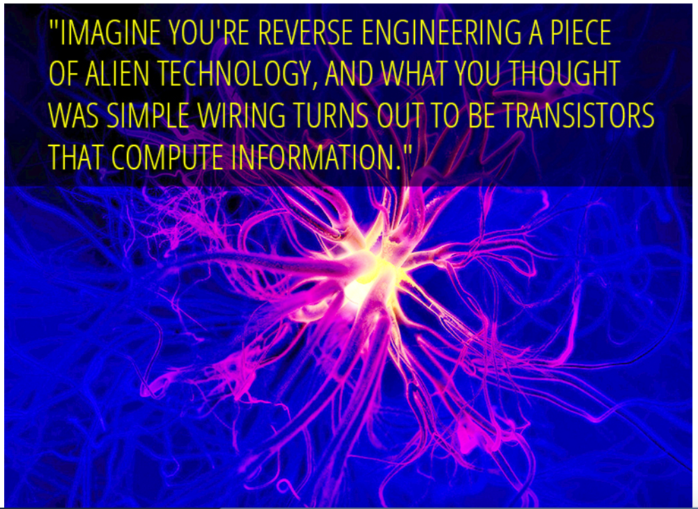 Screen Shot 2021-10-25 at 8.18.04 AM.png