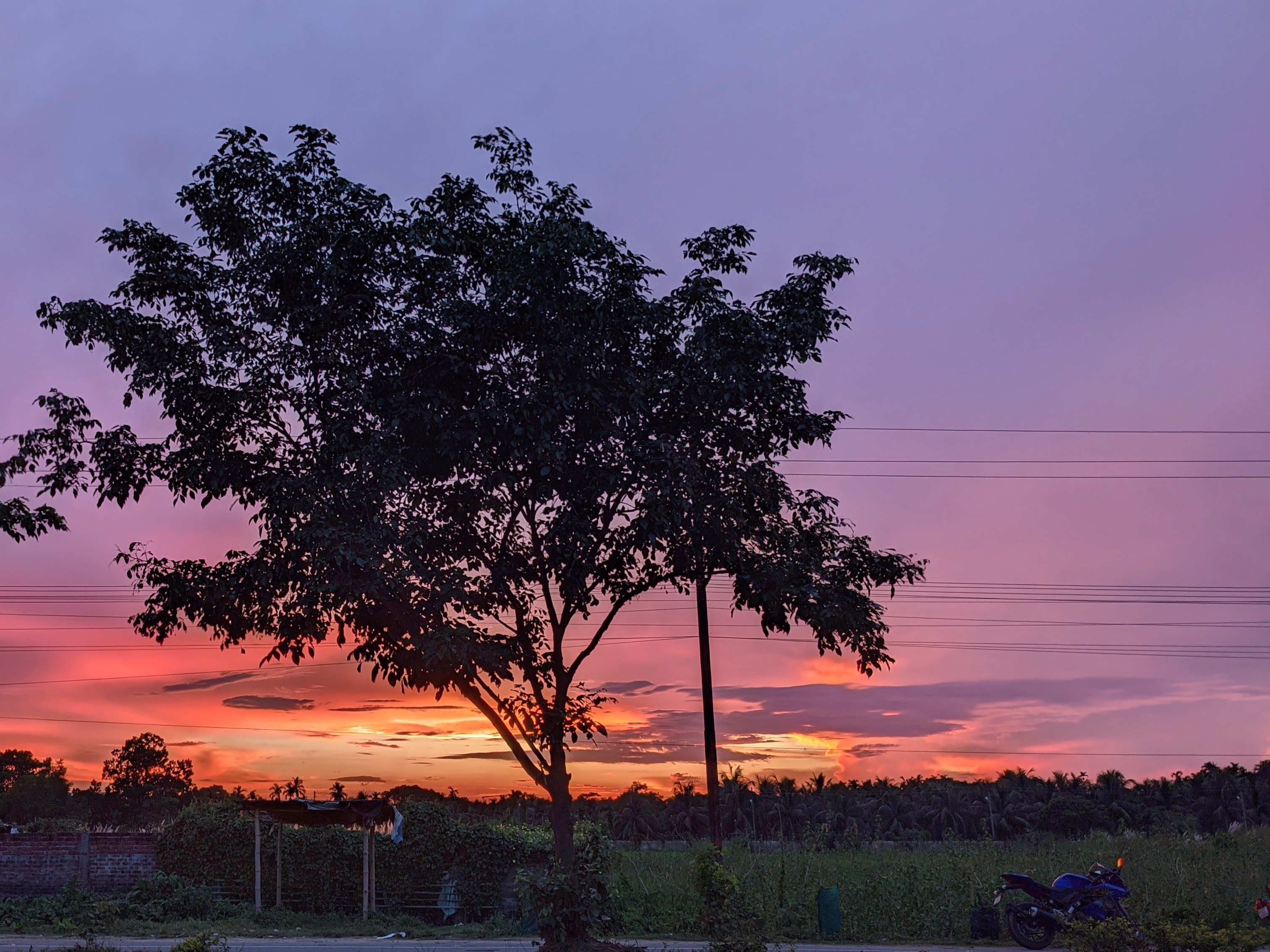 PXL_20210911_121025144.NIGHT~2.jpg