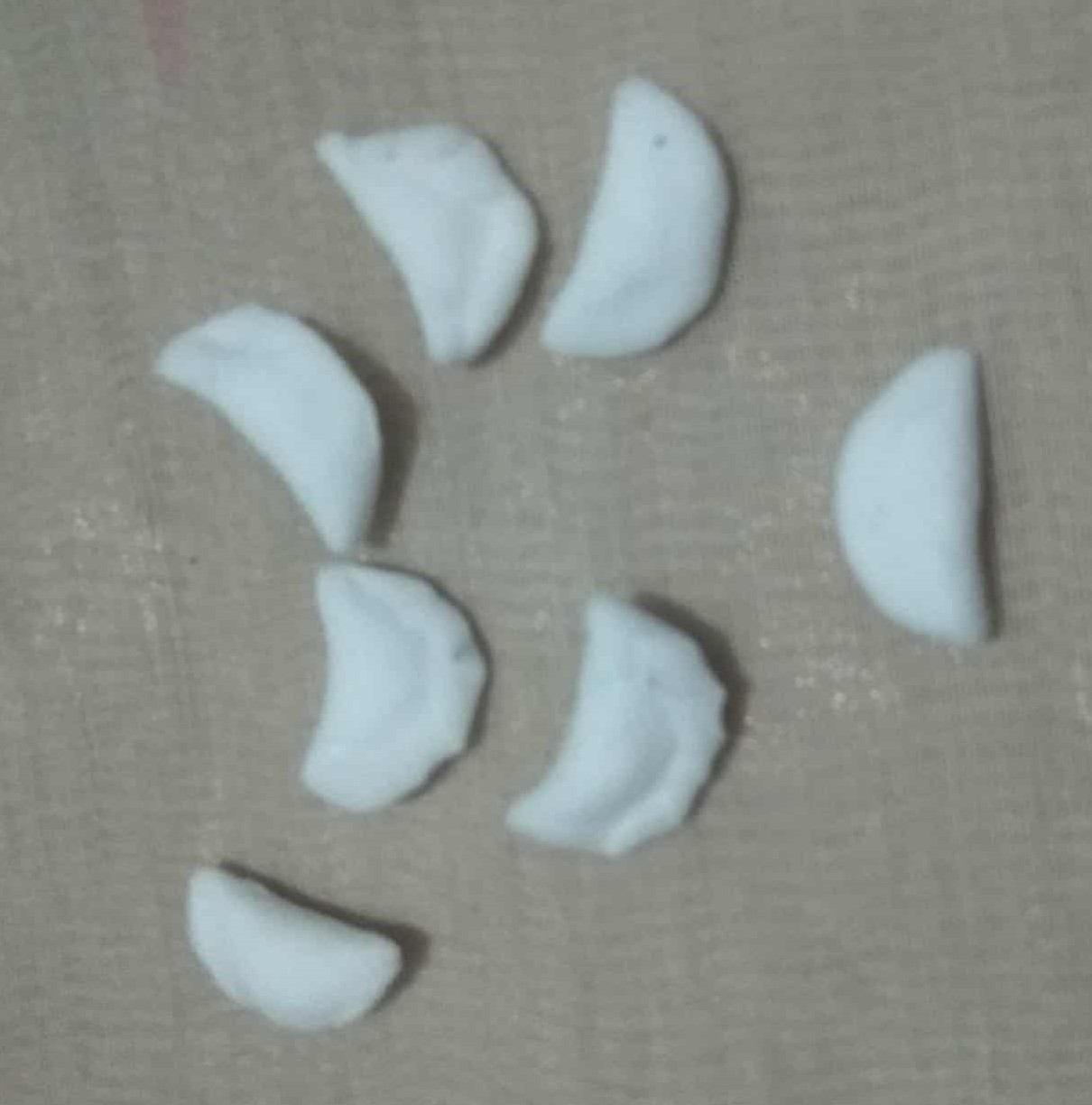 d7.jpg