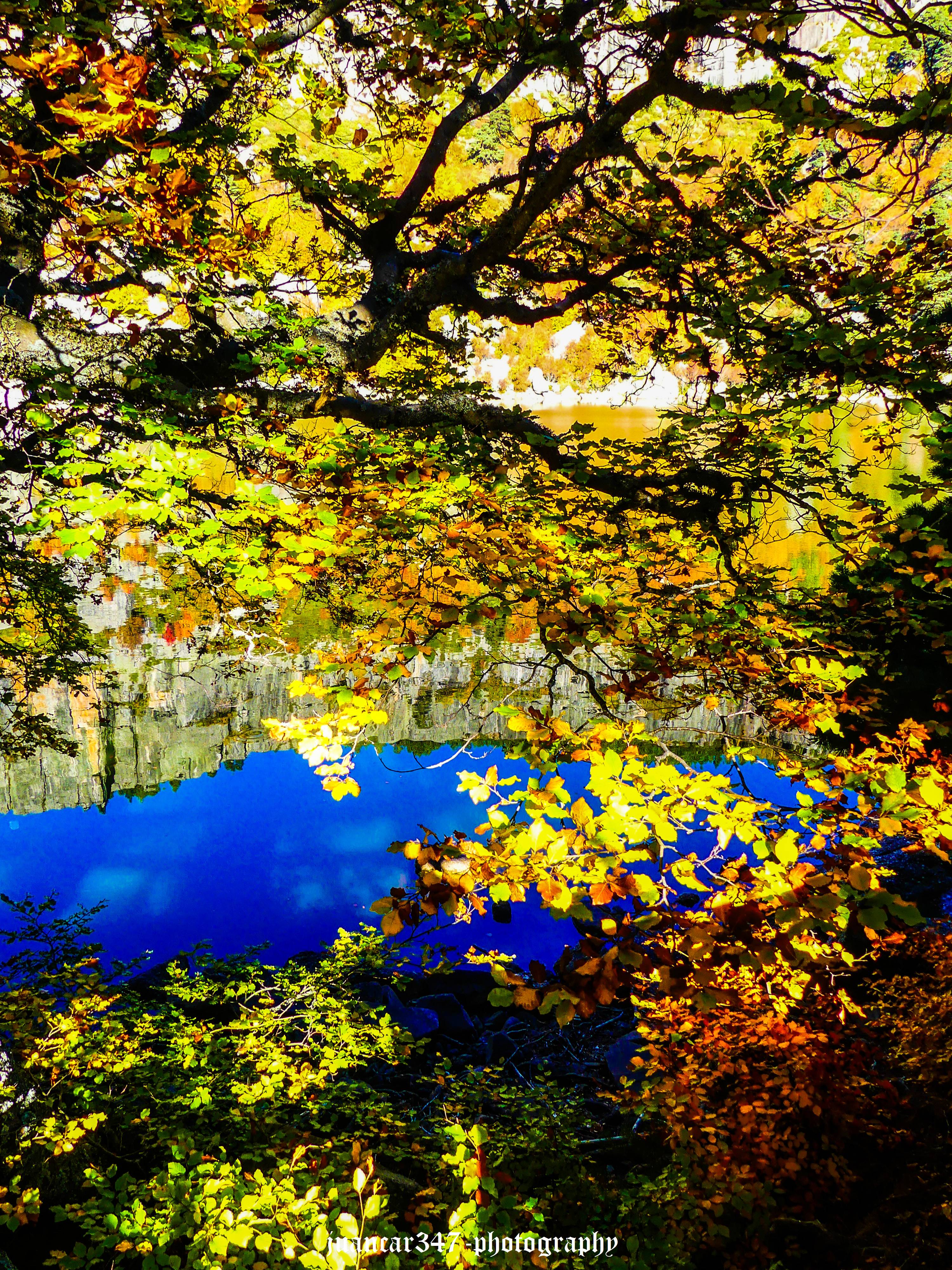 P1170773_edited.jpg