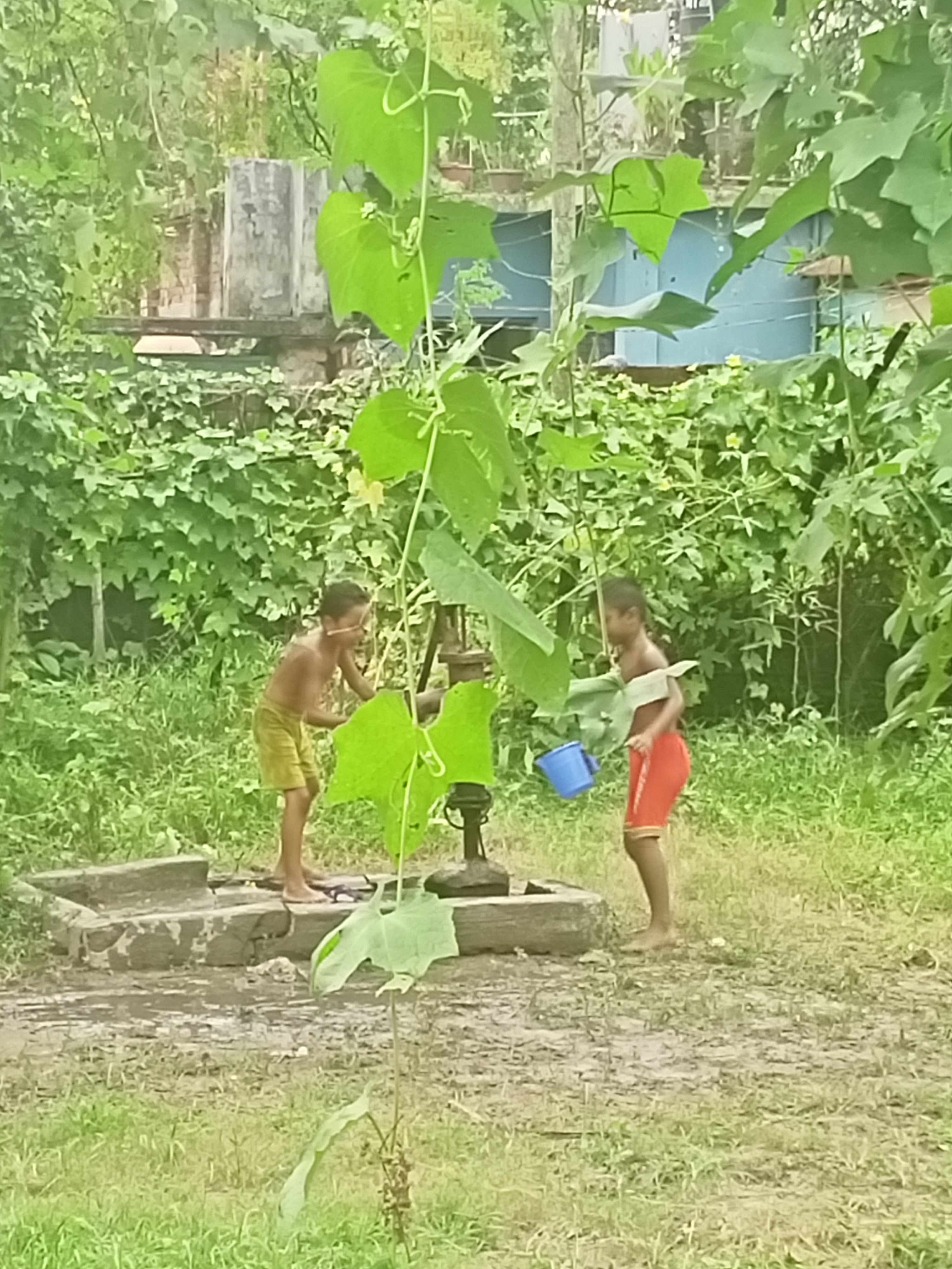 IMG20200921123350.jpg