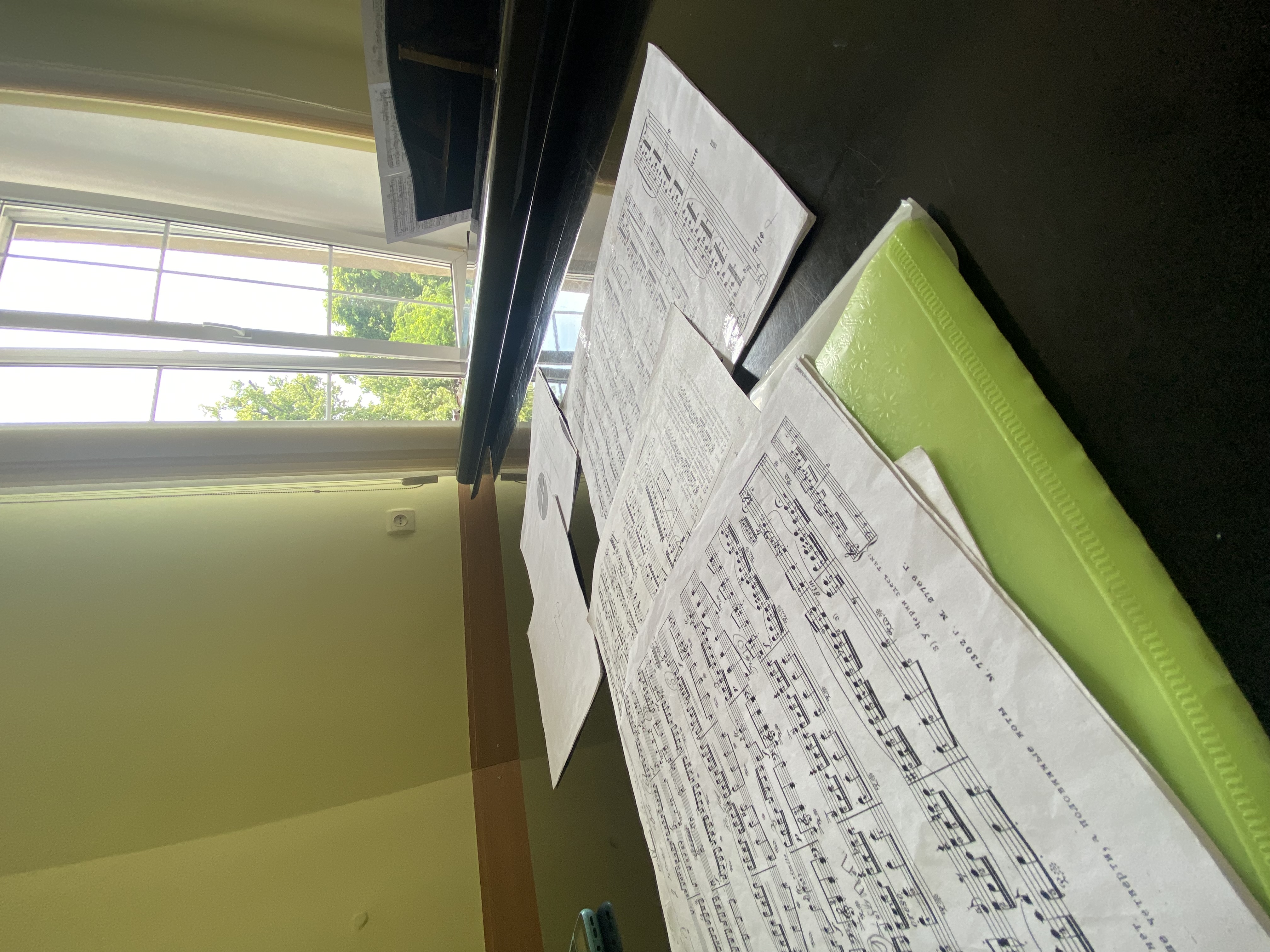 IMG_2772.jpeg