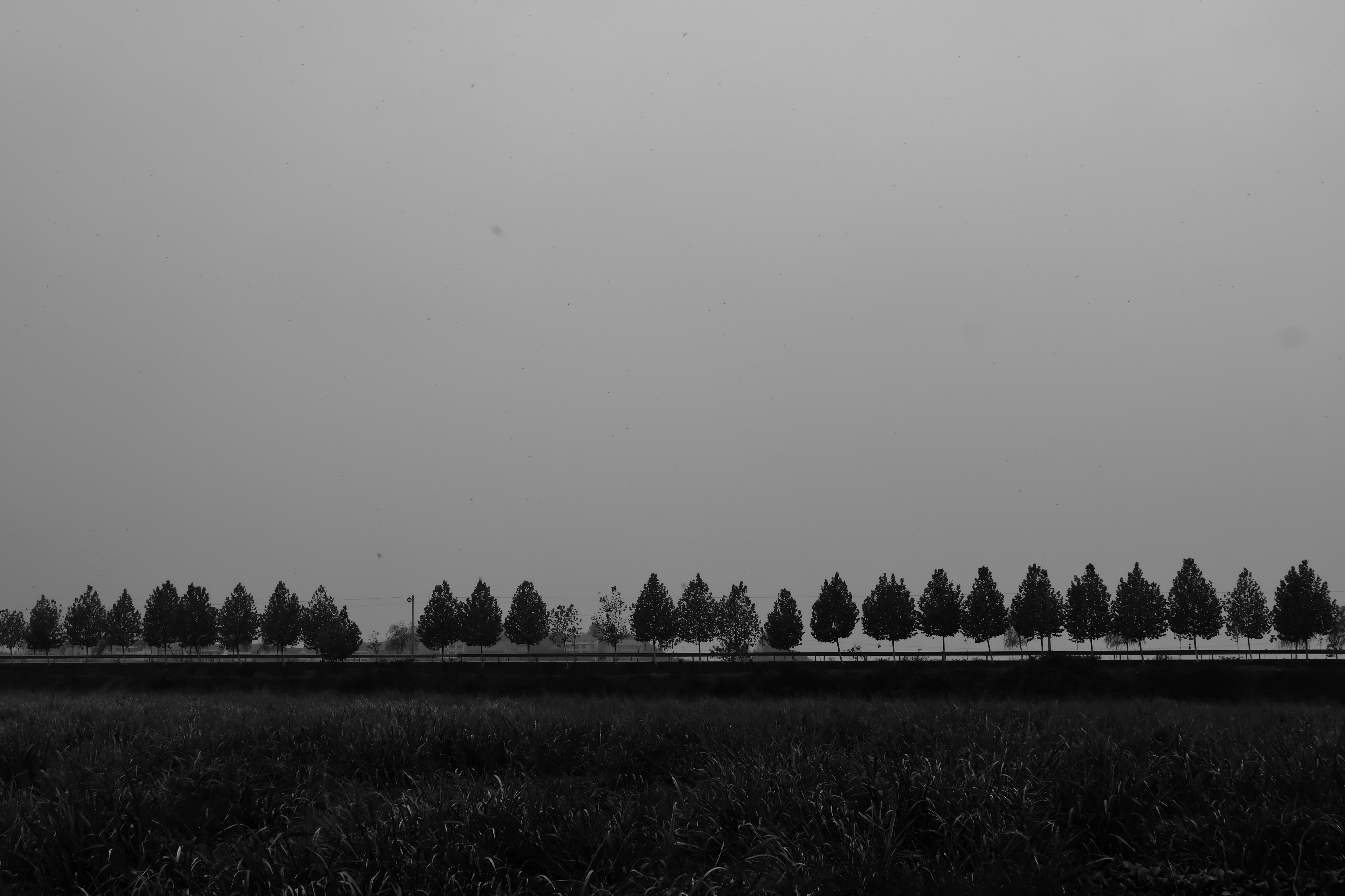 DSCF1573.jpg