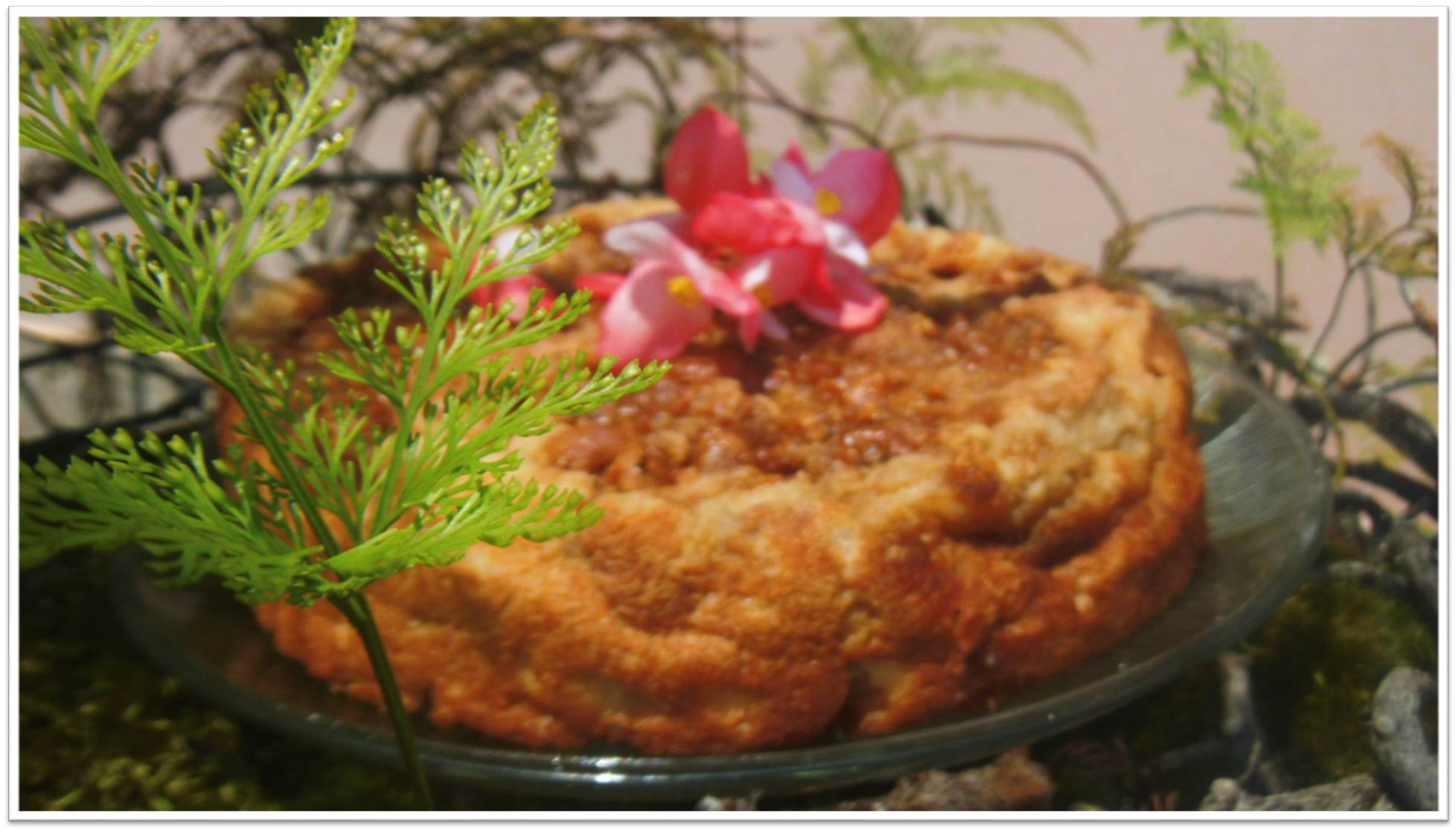 torta8.jpg