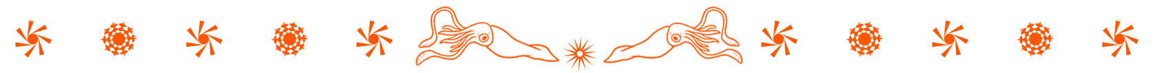 page divider (orange-squid).png