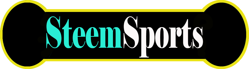 12 Steemsports.png