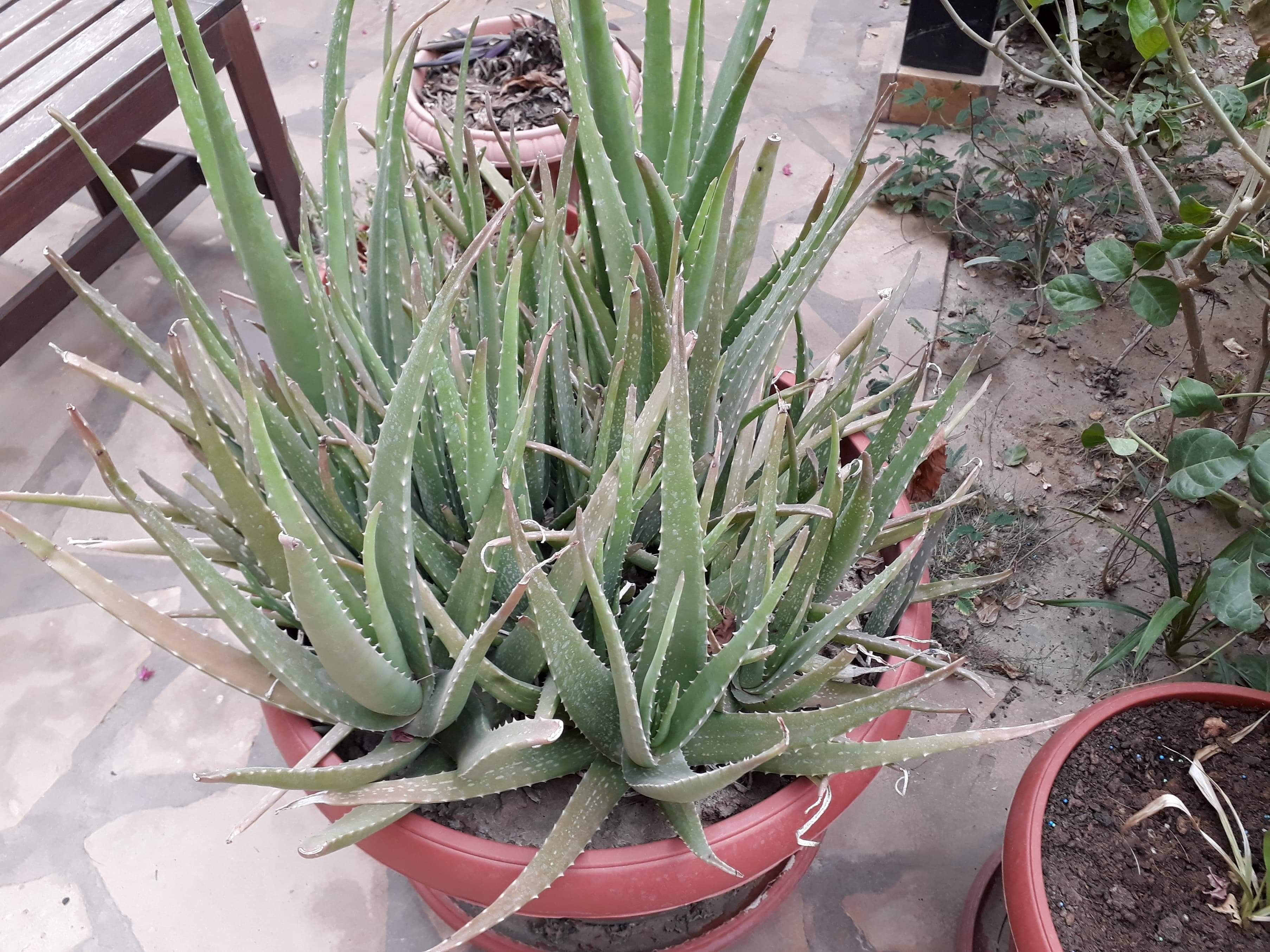 received_2036270486680780.jpeg