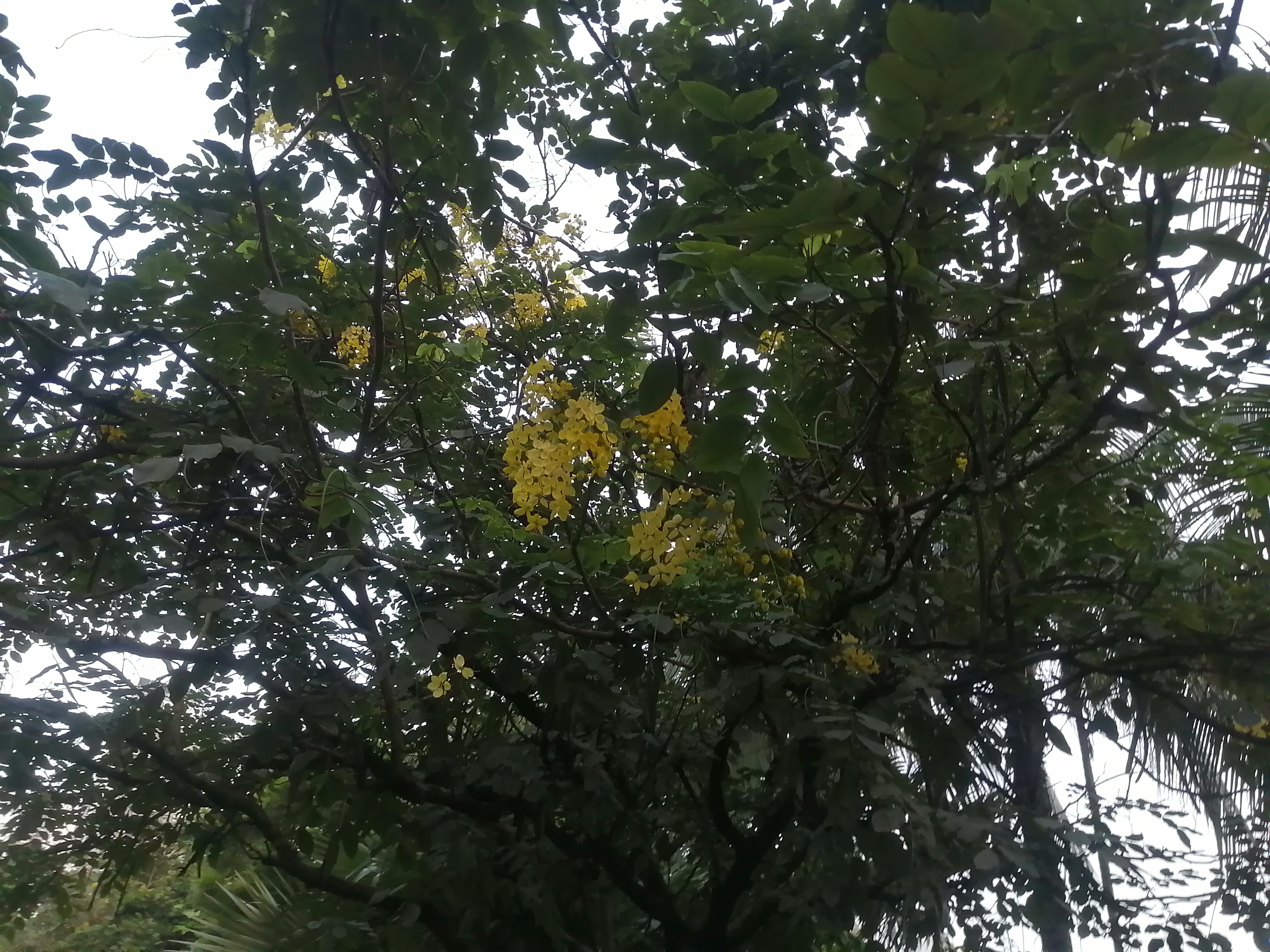 IMG_20210815_182830.jpg