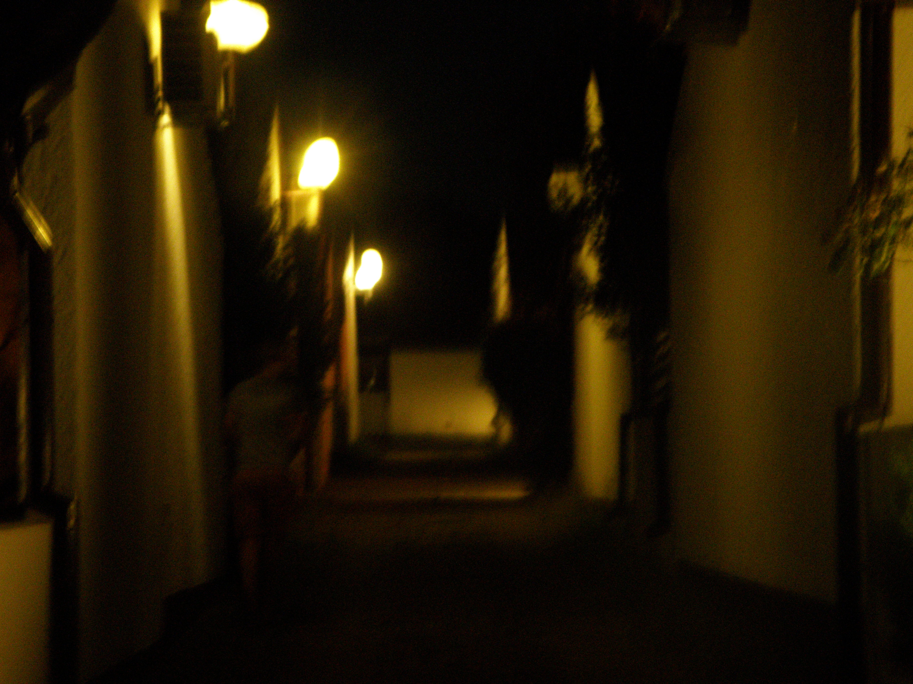 P1010344.JPG
