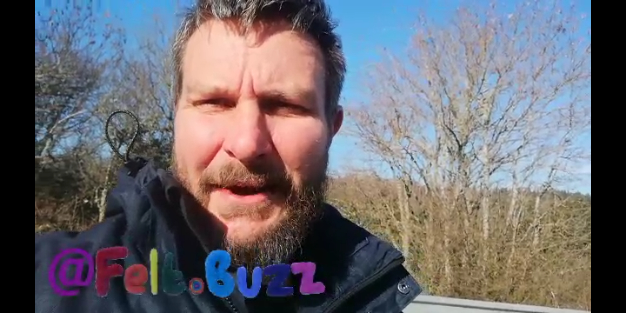 felt.buzz.leo